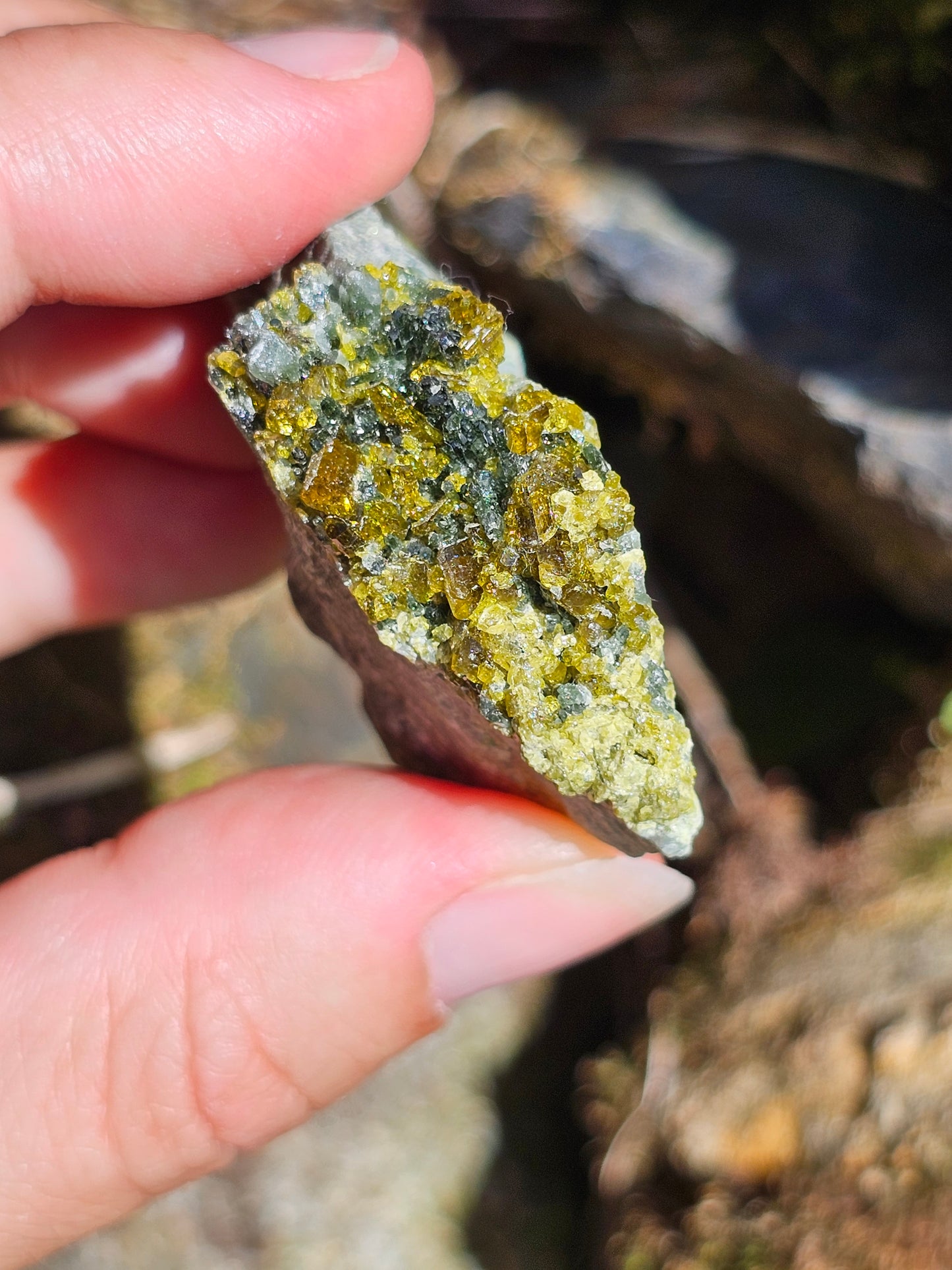 Mélange Grenat, Diopside, Epidote du Pakistan H