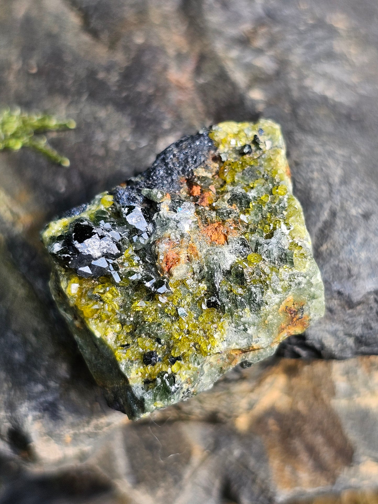 Mélange Grenat, Diopside, Epidote du Pakistan E