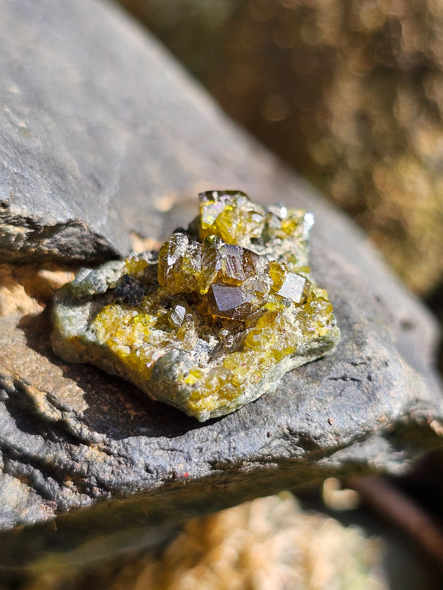Mélange Grenat, Diopside, Epidote du Pakistan G