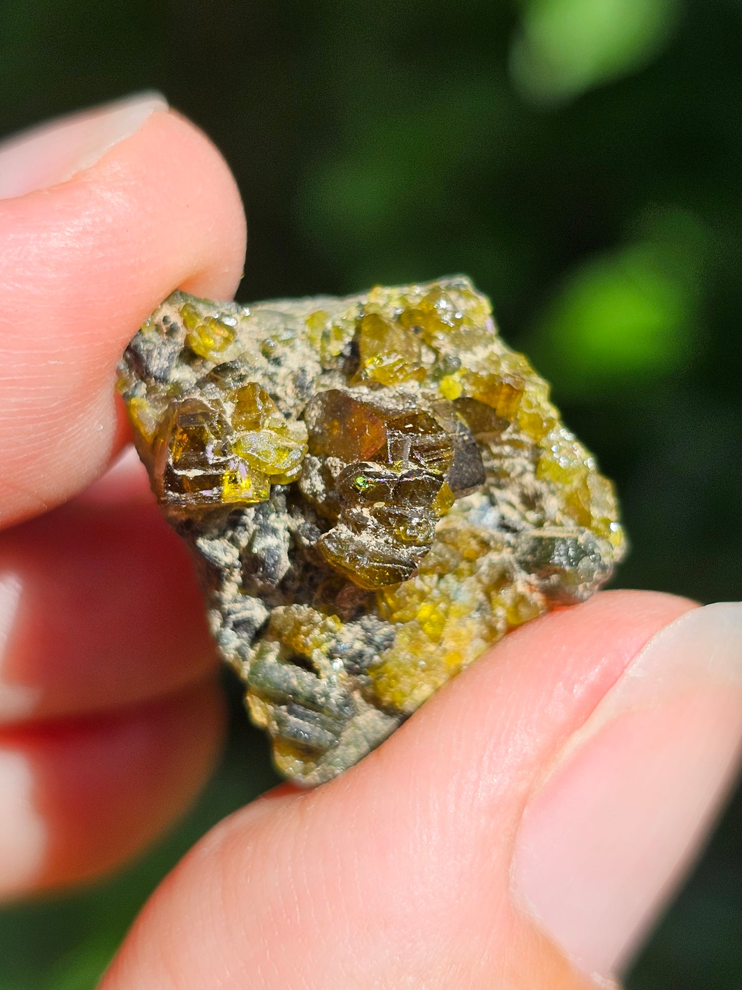 Mélange Grenat, Diopside, Epidote du Pakistan G