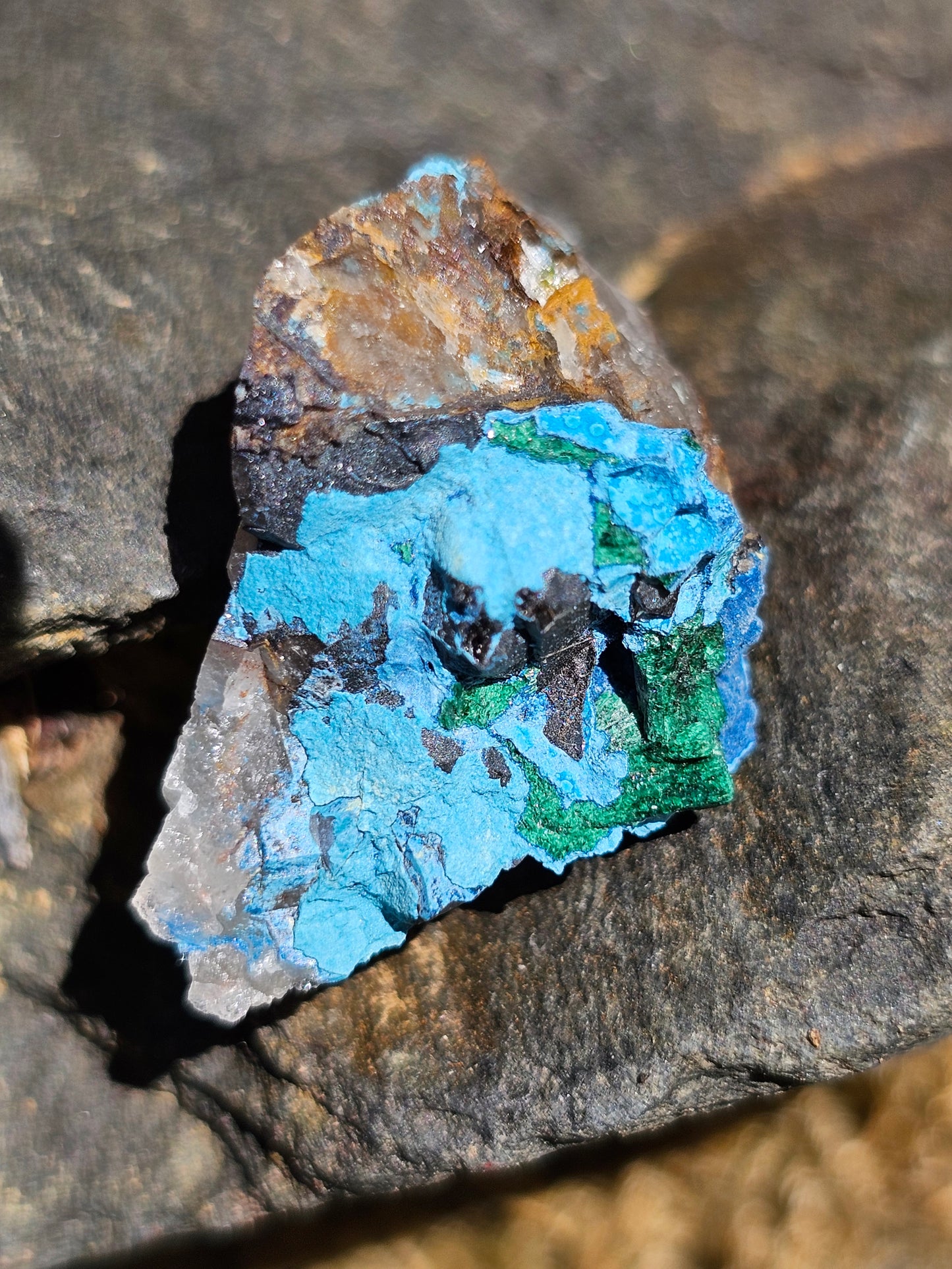 Shattuckite brute SH8