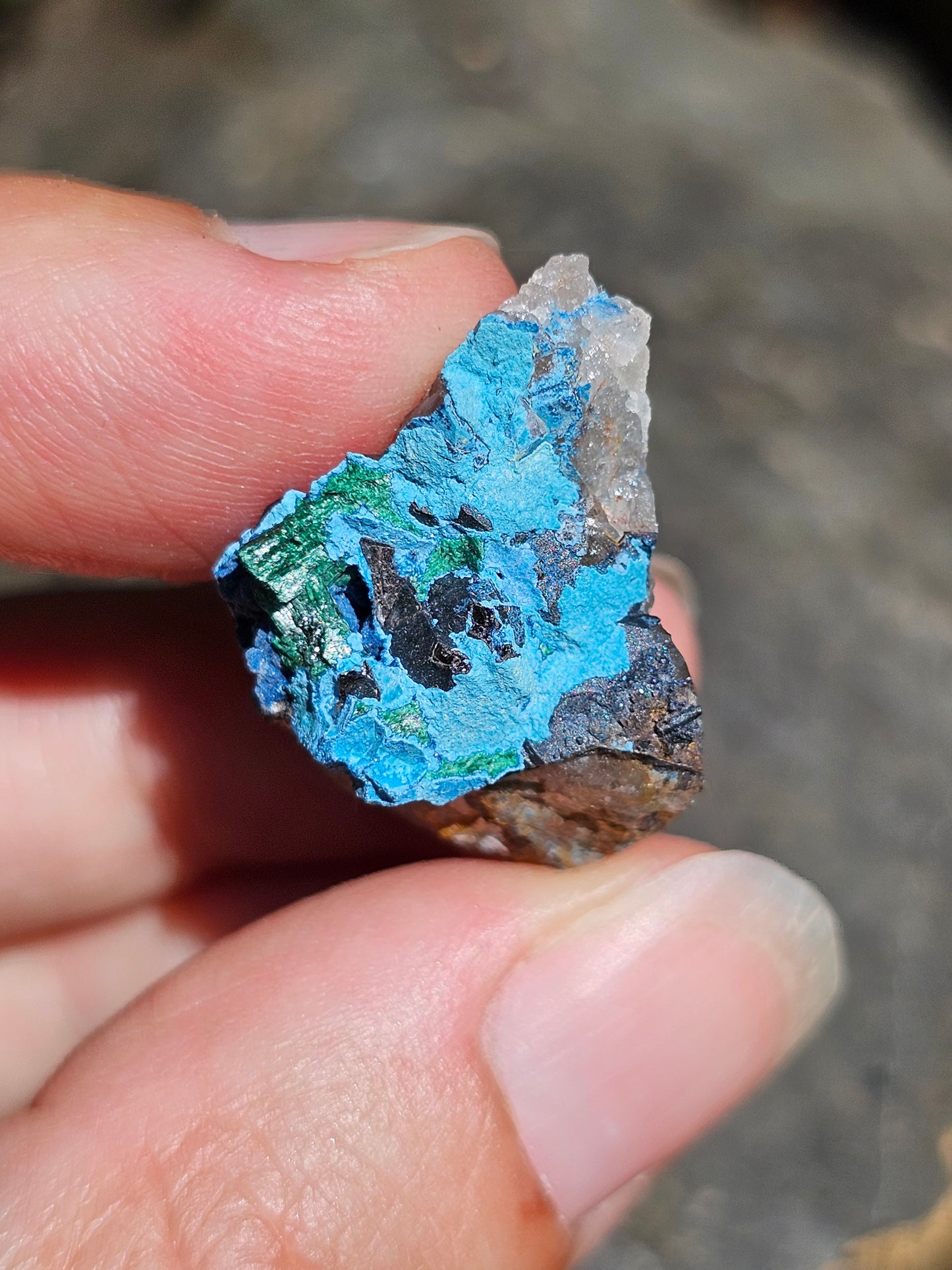 Shattuckite brute SH8