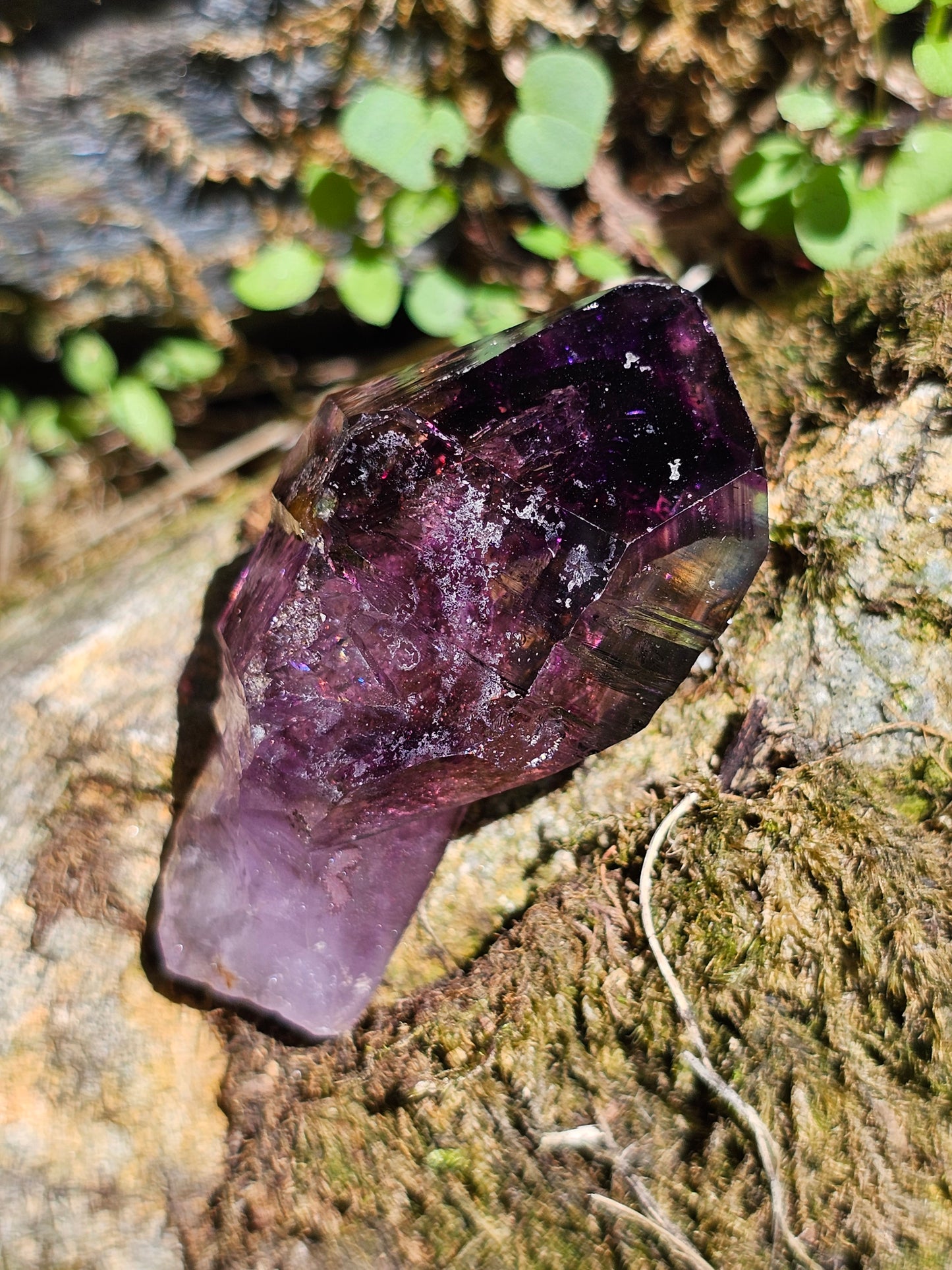 Quartz Shangaan (Améthyste/Quartz fumé/Quartz) B