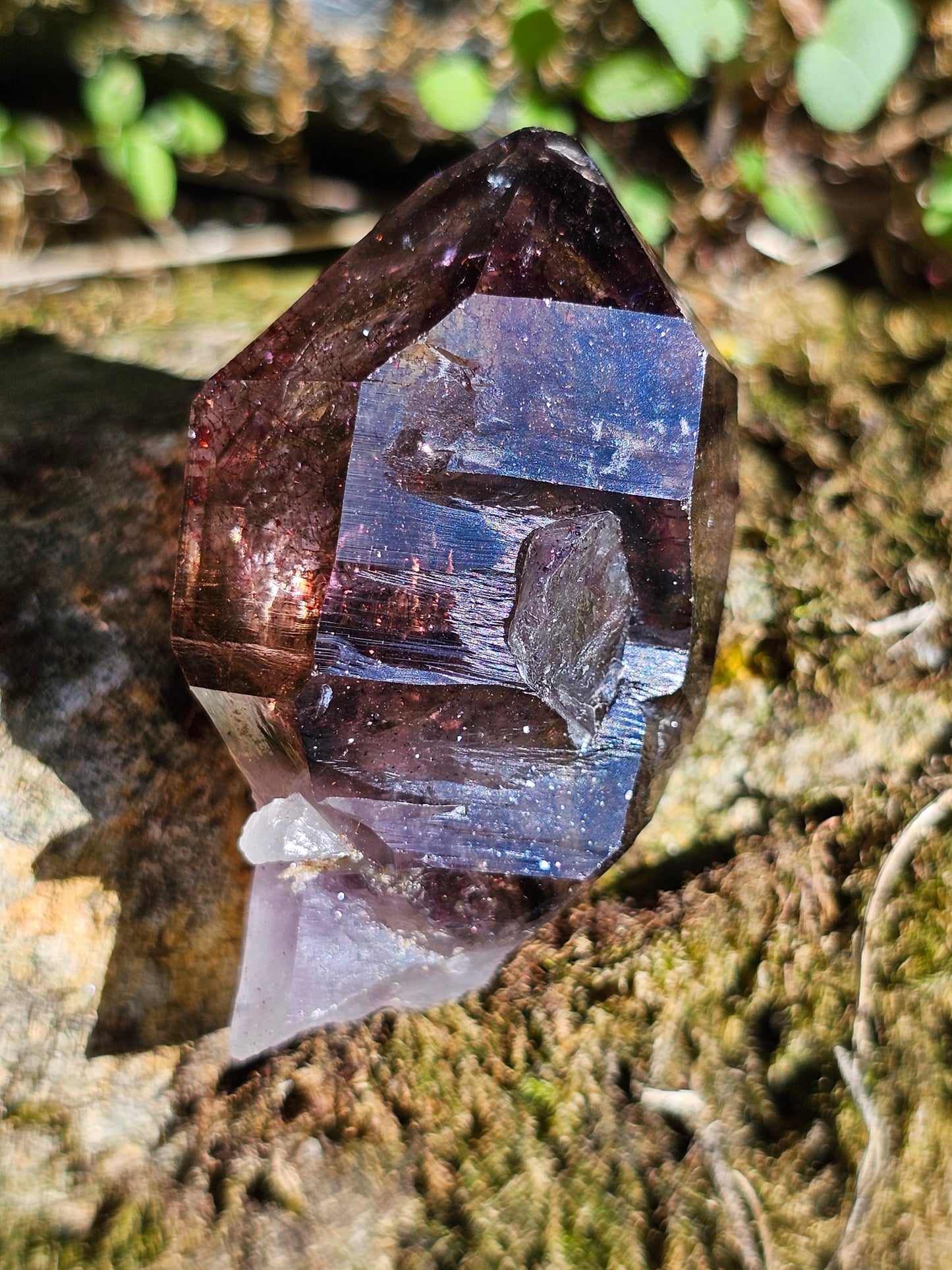 Quartz Shangaan (Améthyste/Quartz fumé/Quartz) D
