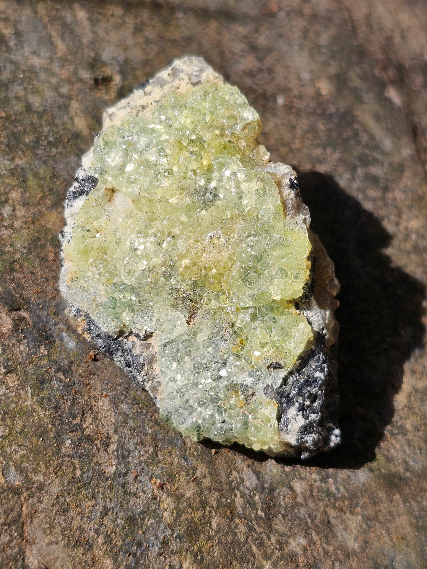 Opale Hyalite (fluorescente)OH6