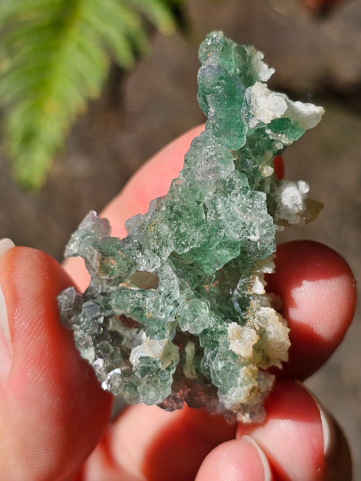 Fluorite verte brute d'Erongo
