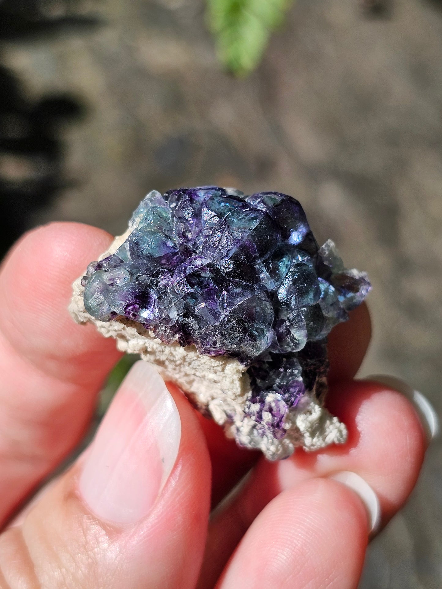 Fluorite brute d'Erongo