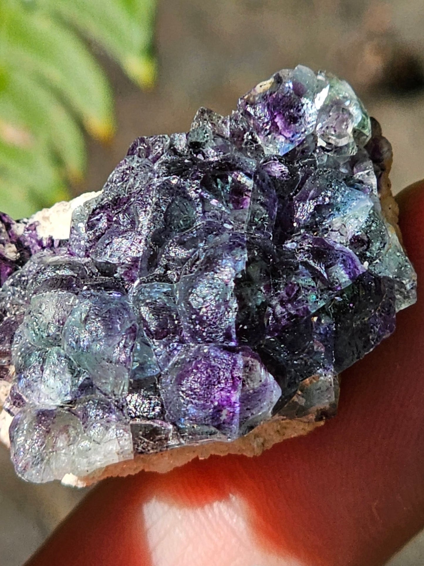 Fluorite brute d'Erongo