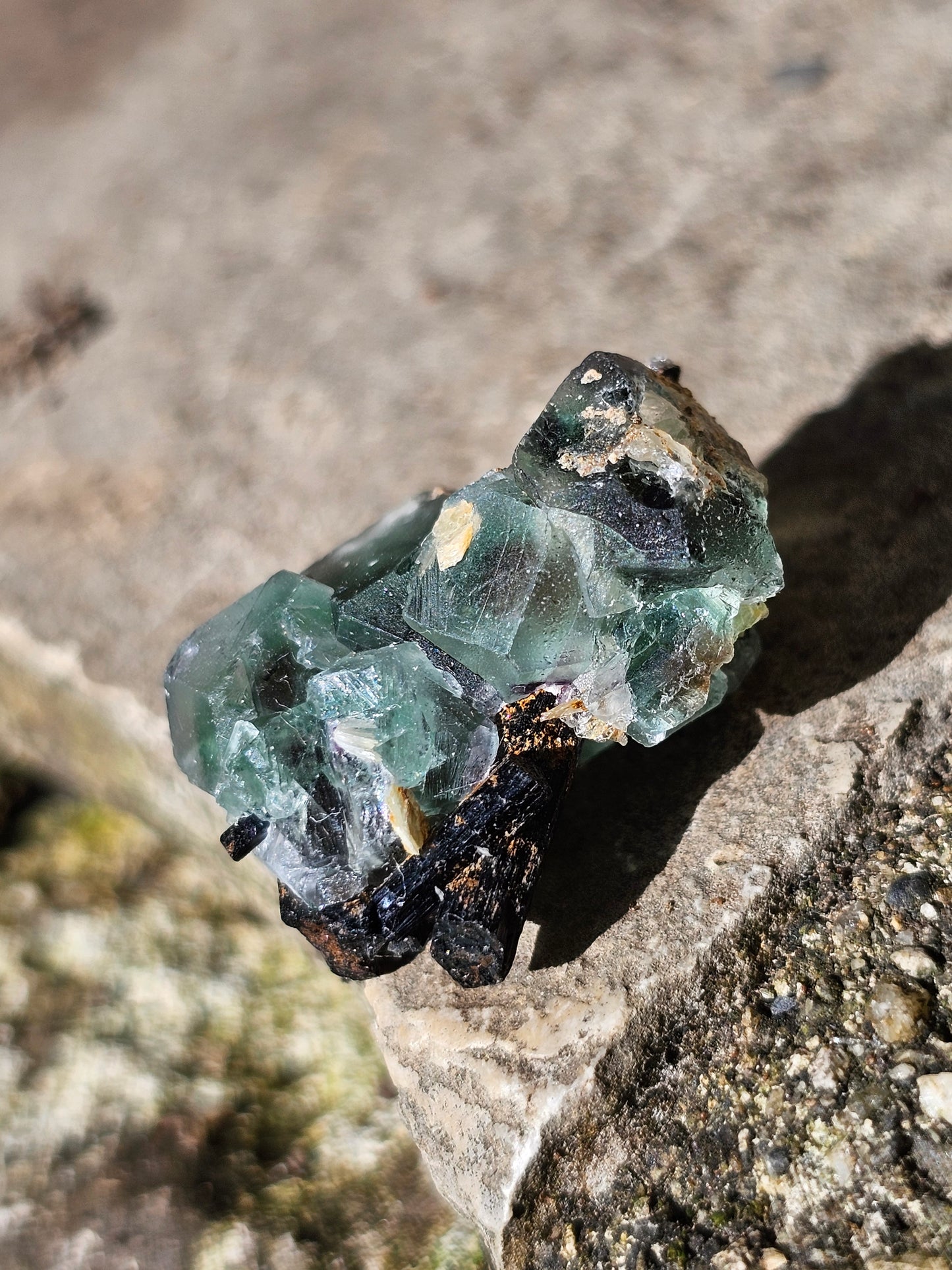 Tourmaline noire sur Fluorite TF4