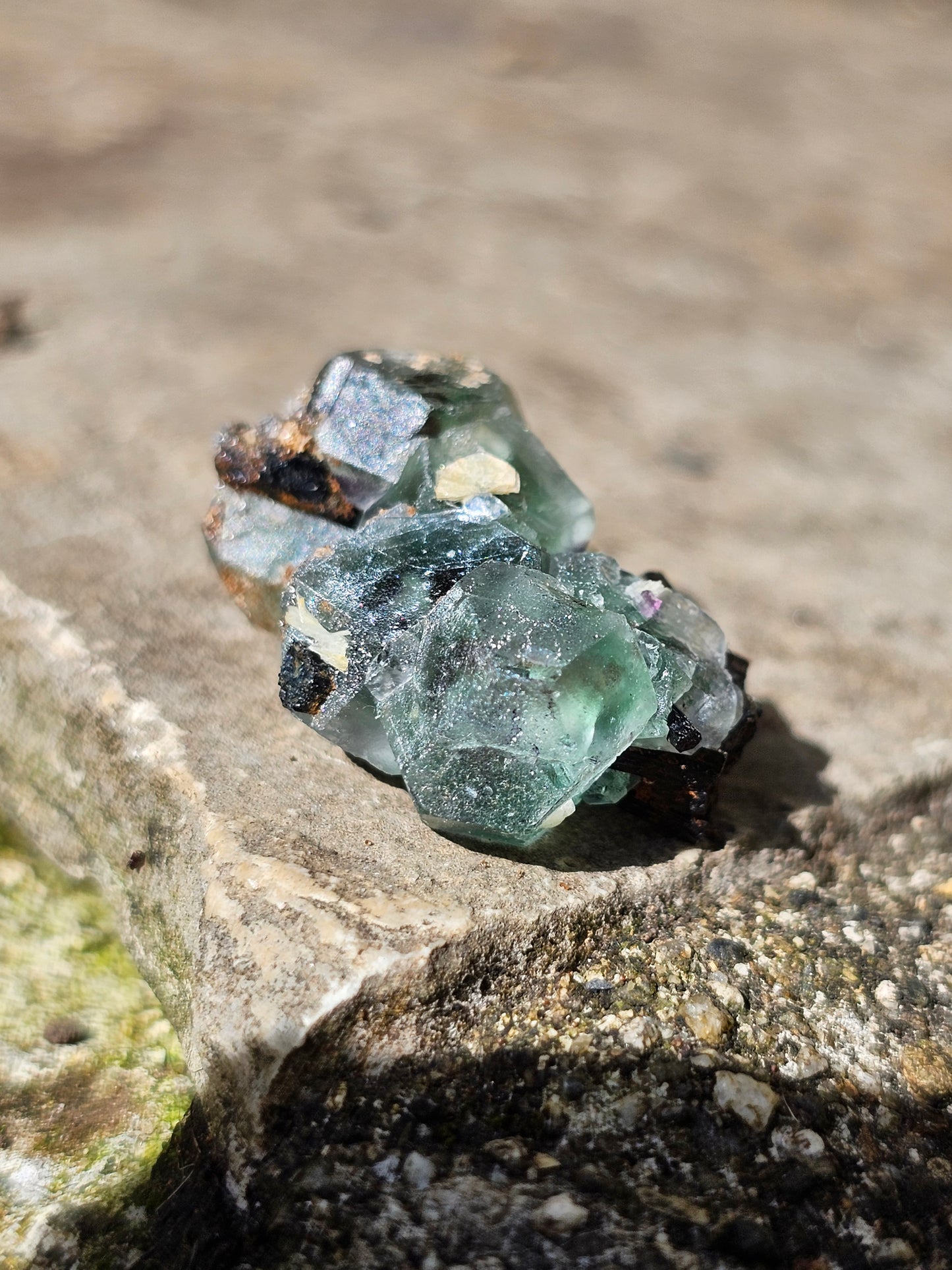 Tourmaline noire sur Fluorite TF4