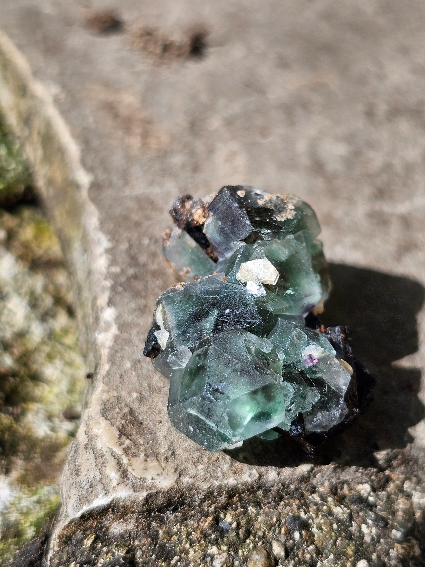 Tourmaline noire sur Fluorite TF4