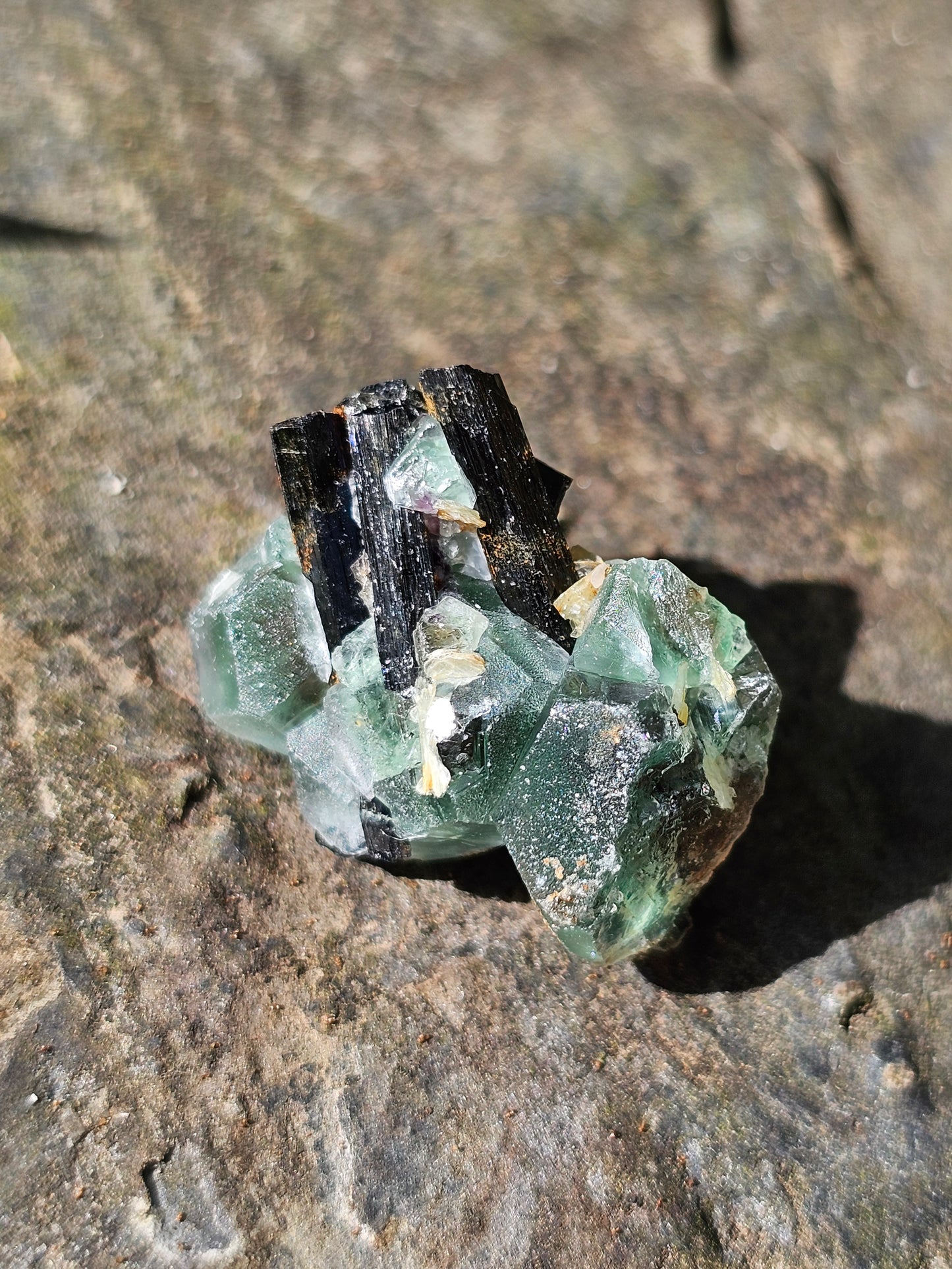 Tourmaline noire sur Fluorite TF4