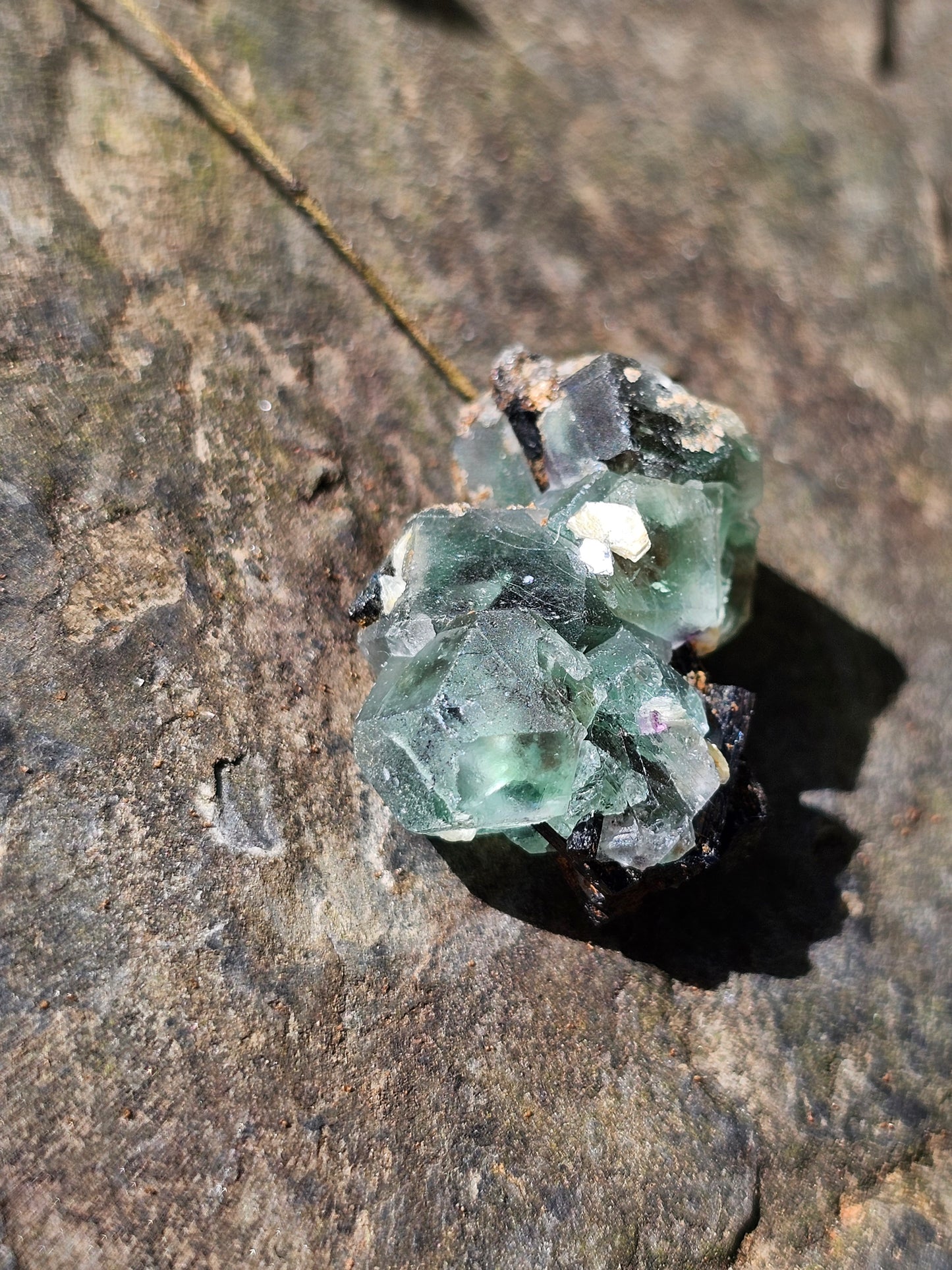 Tourmaline noire sur Fluorite TF4