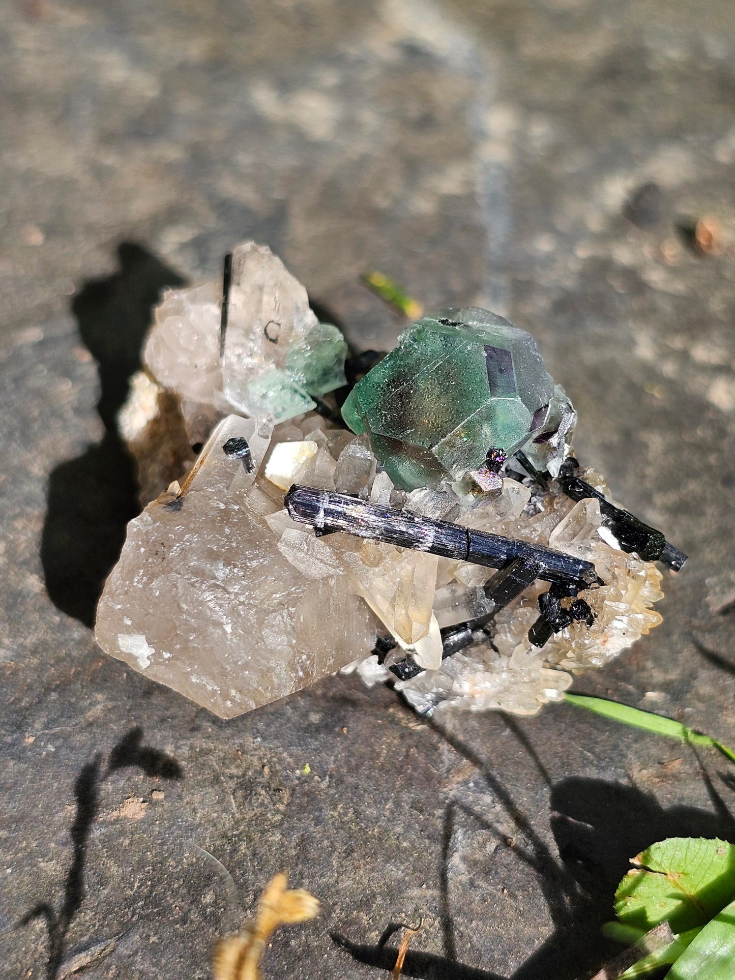 Tourmaline noire sur Fluorite TF1