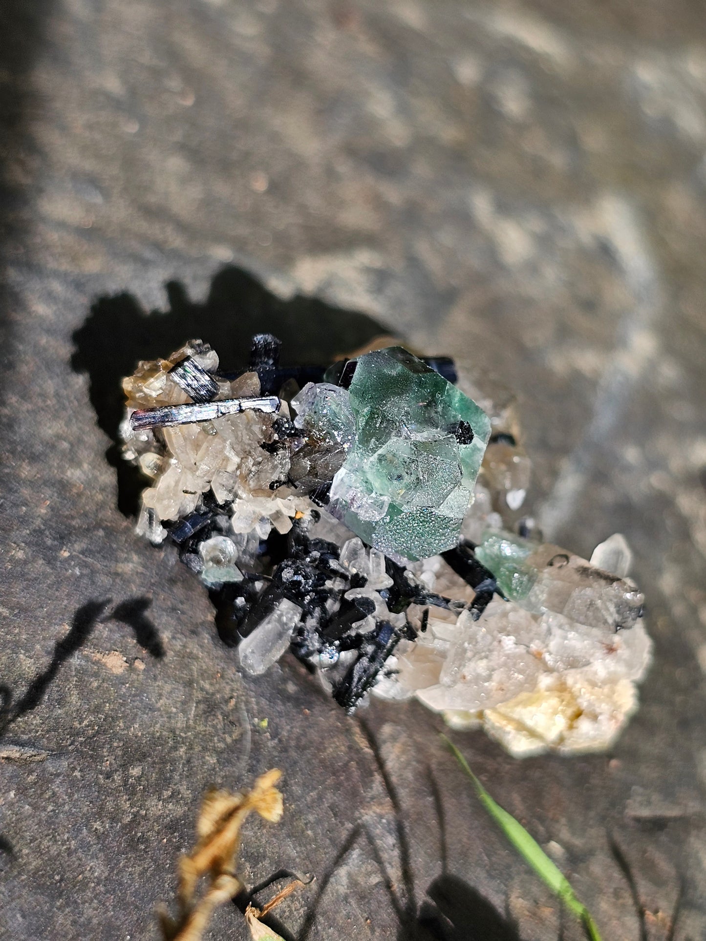 Tourmaline noire sur Fluorite TF1