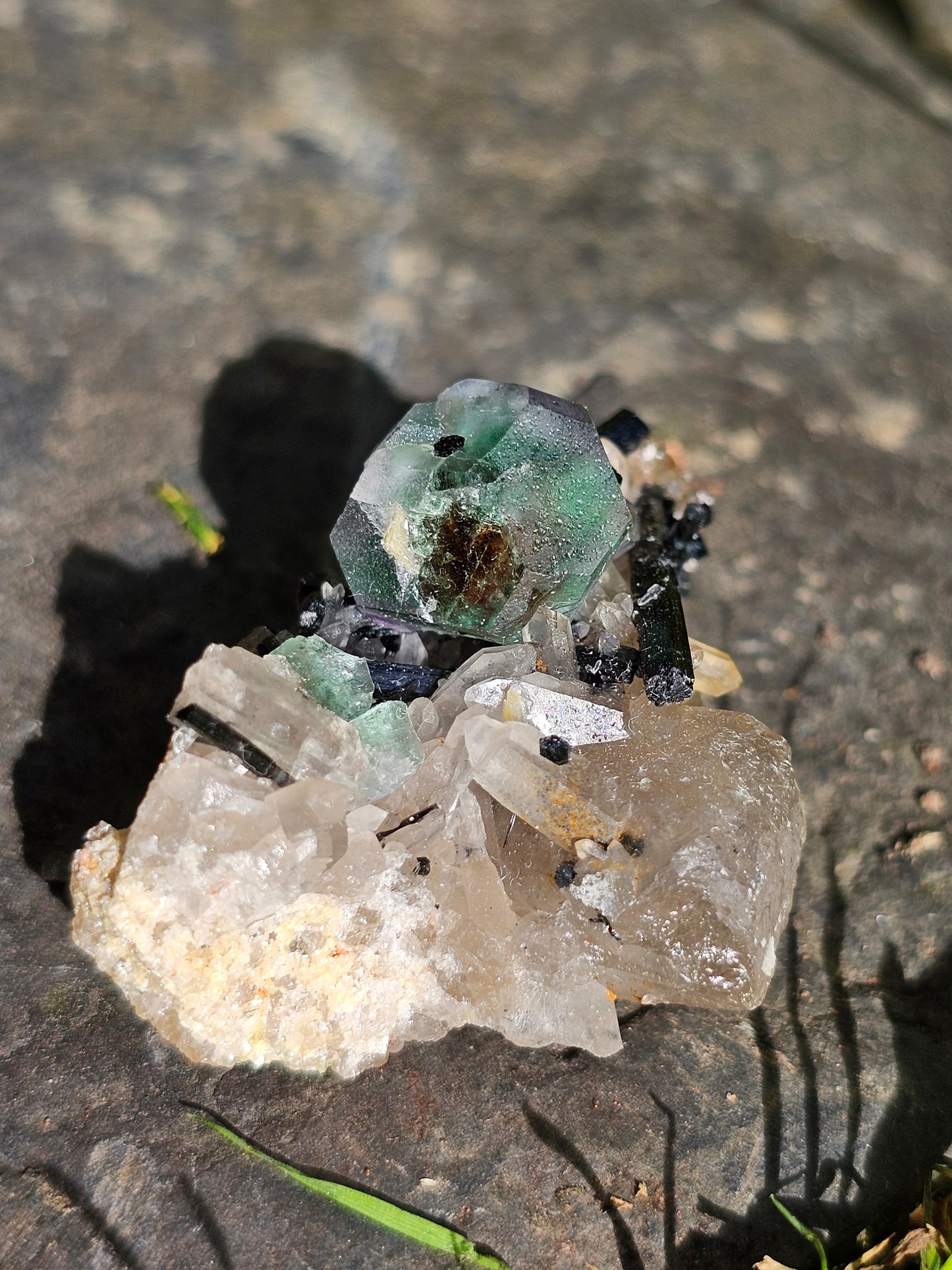 Tourmaline noire sur Fluorite TF1
