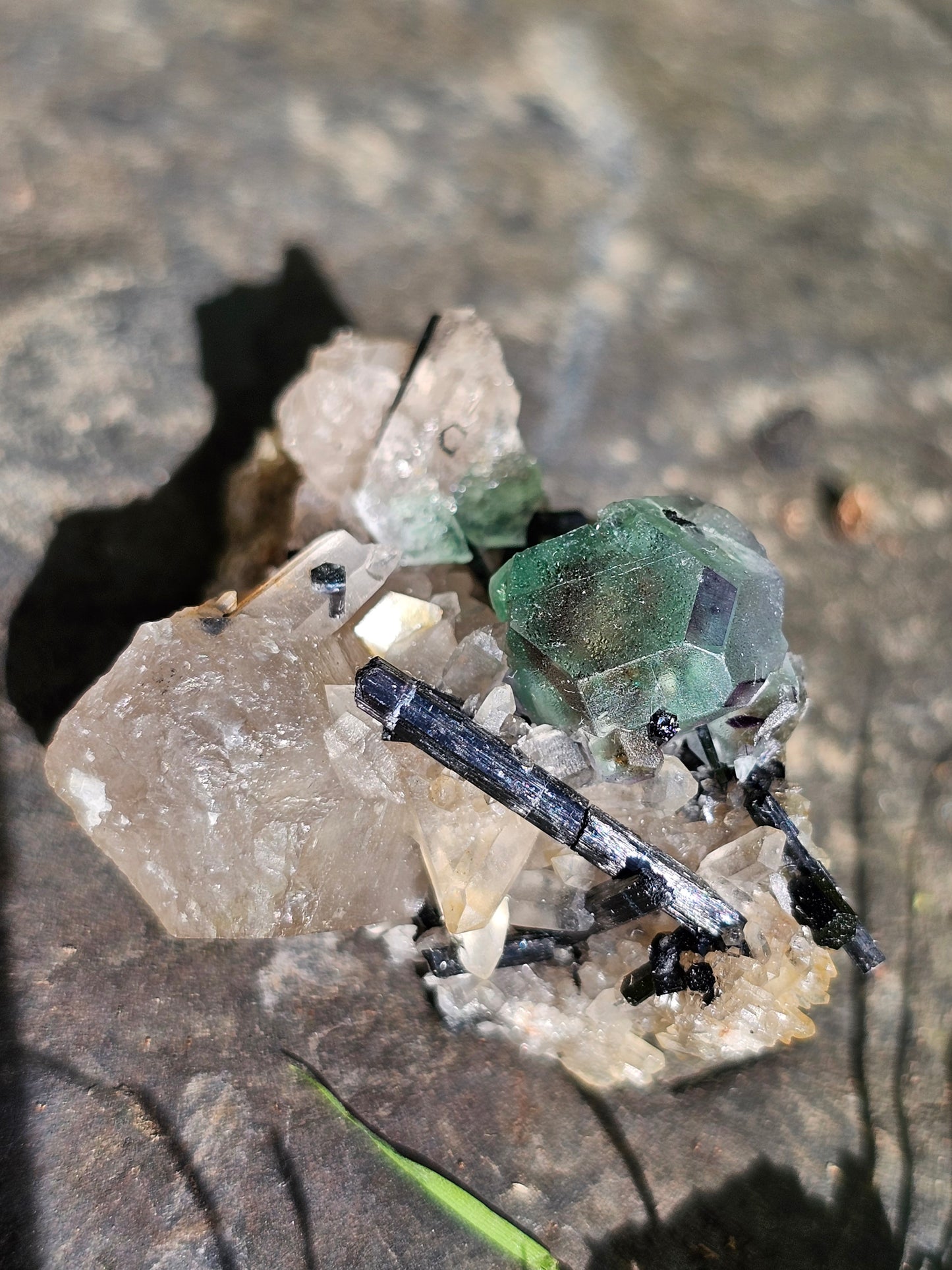 Tourmaline noire sur Fluorite TF1