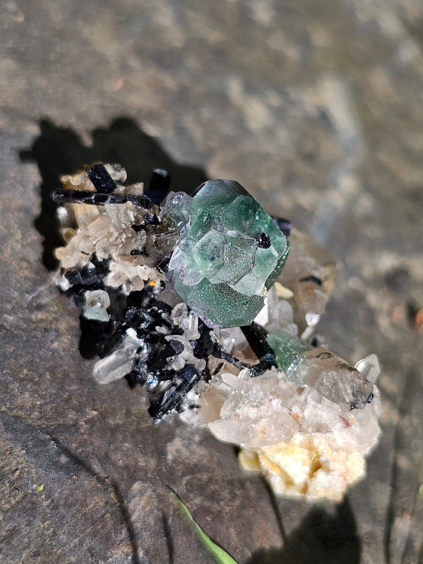 Tourmaline noire sur Fluorite TF1