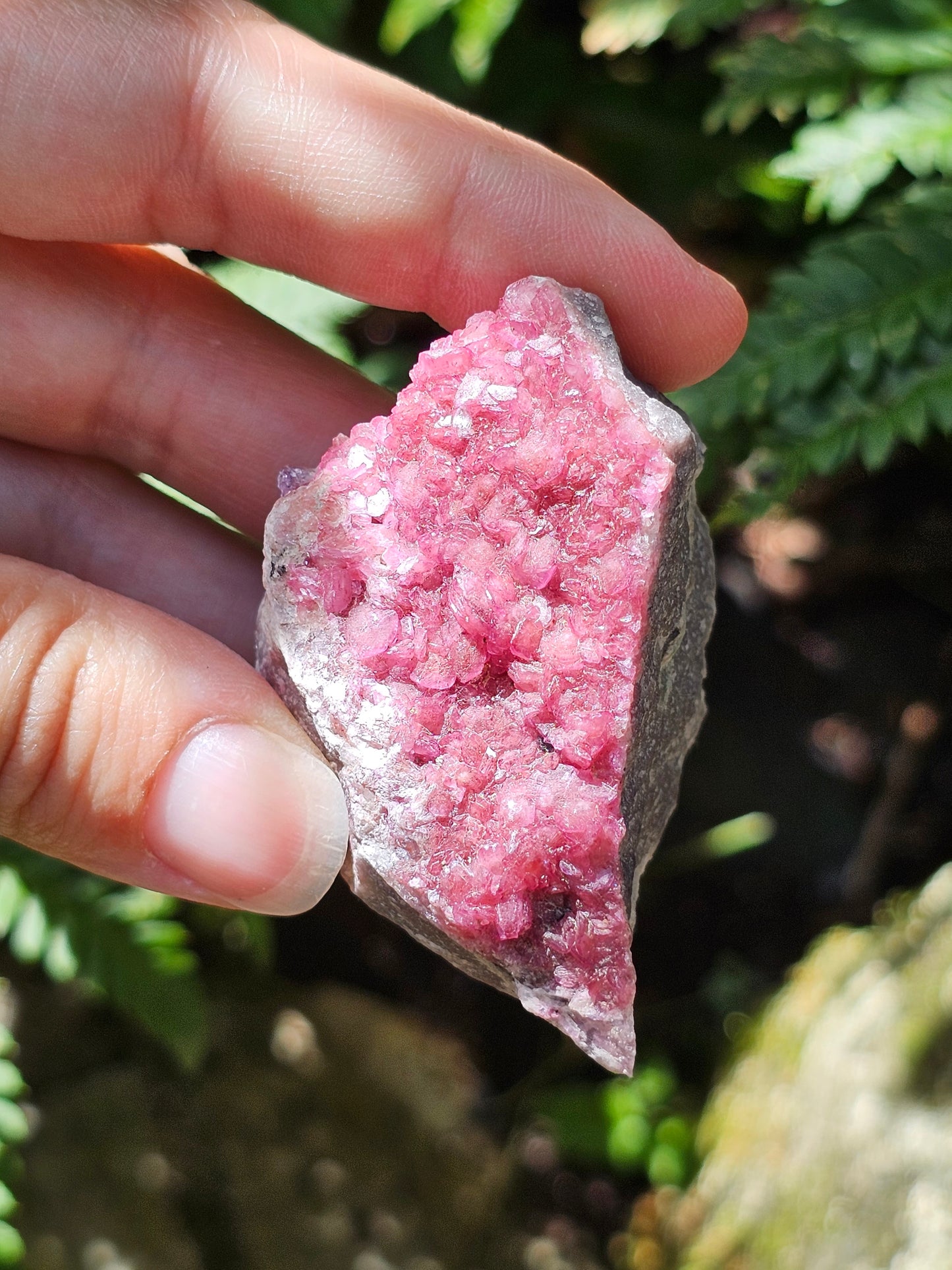 Cobaltocalcite C5