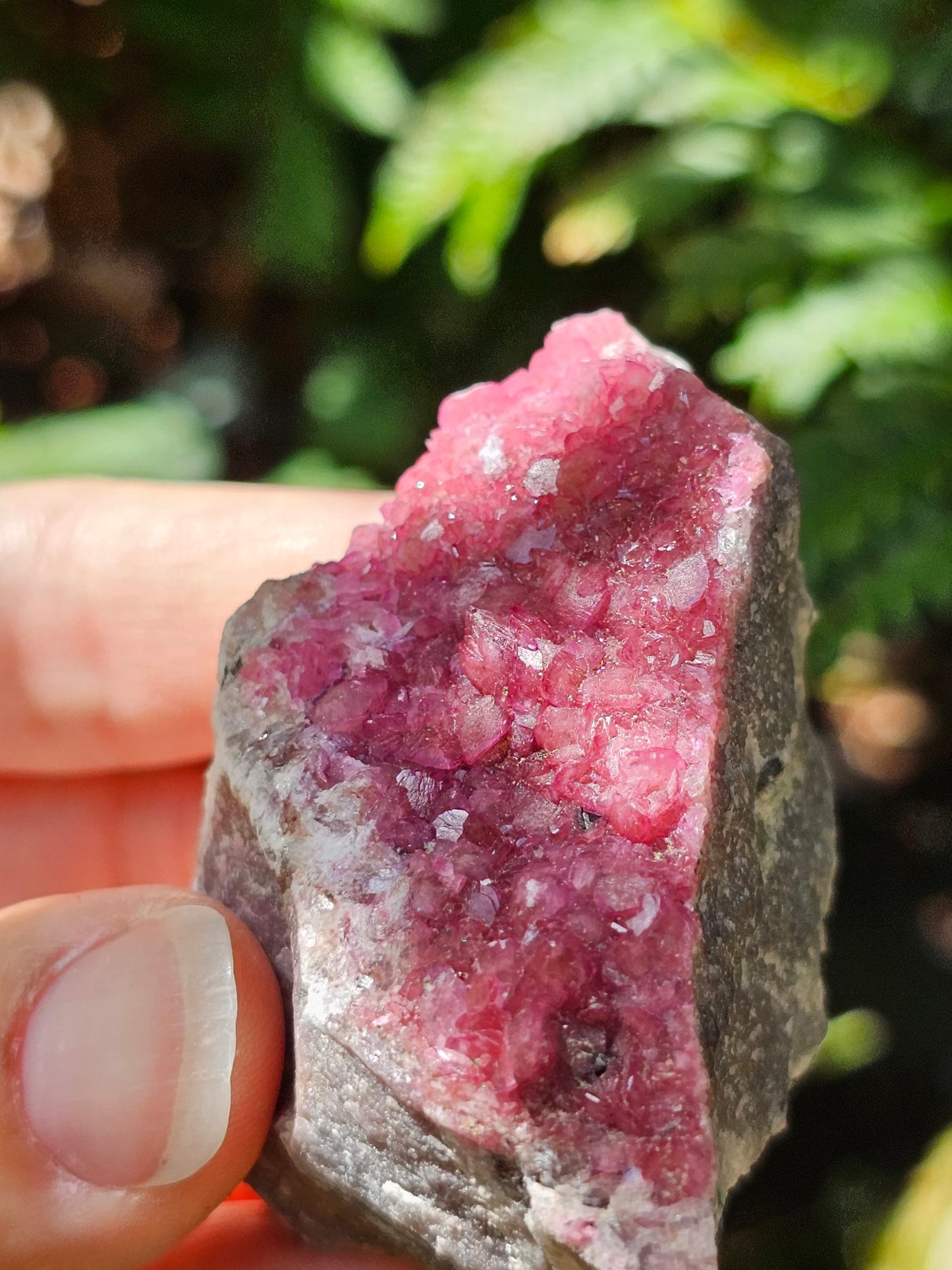 Cobaltocalcite C5