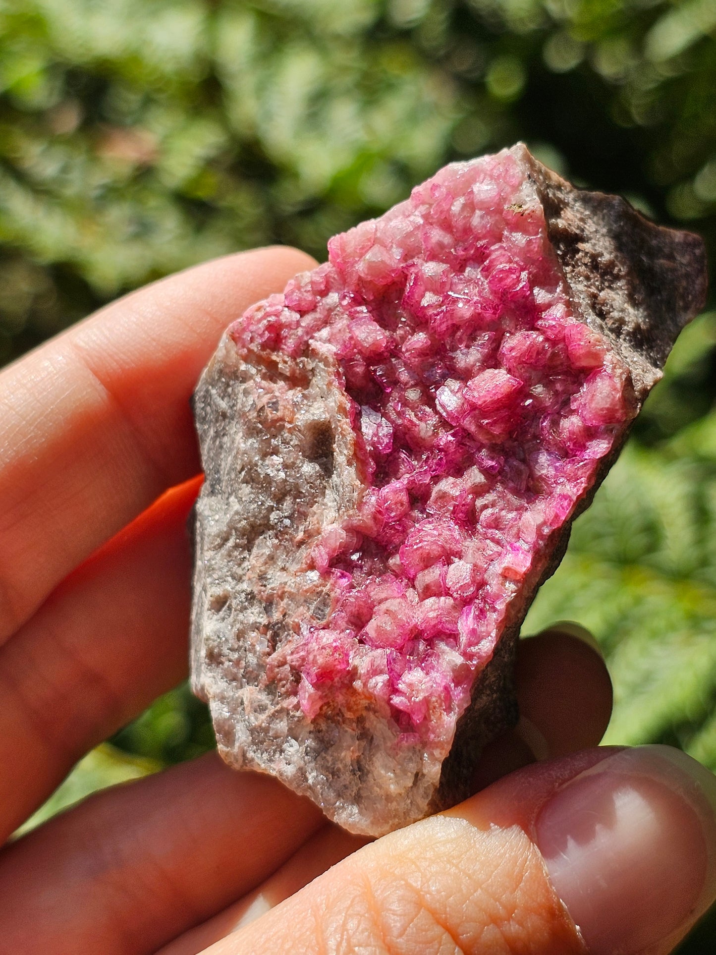 Cobaltocalcite C3