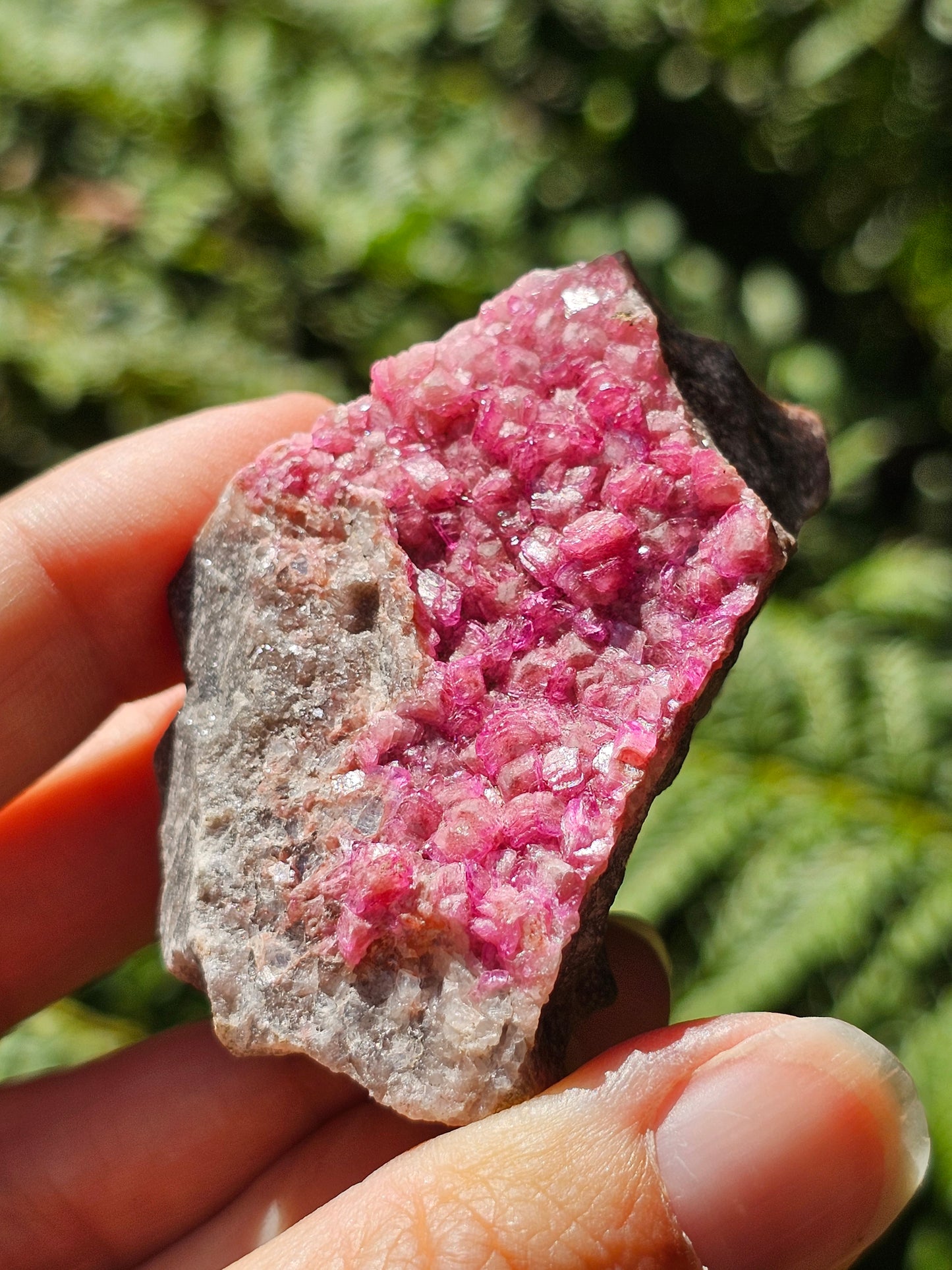 Cobaltocalcite C3