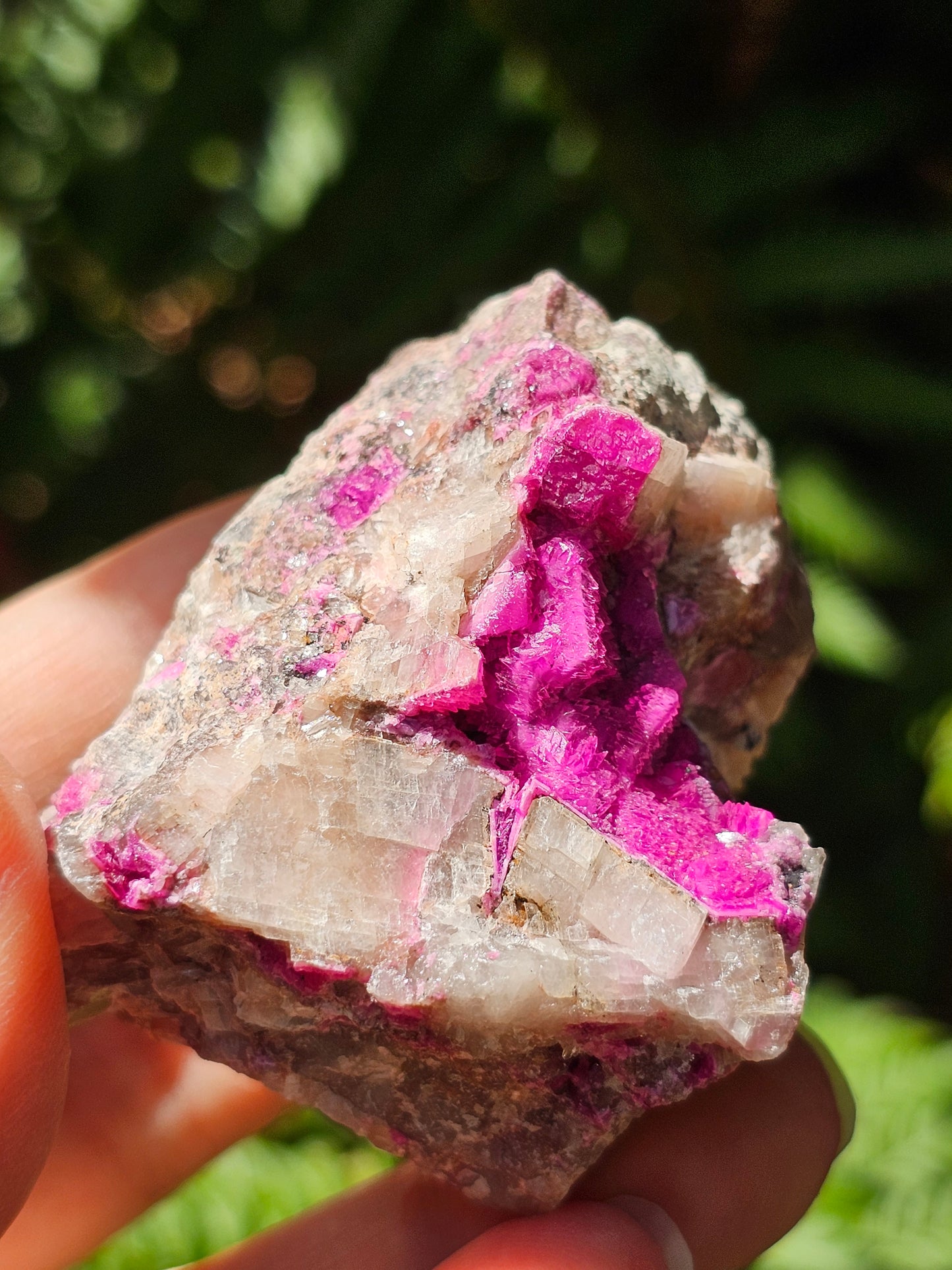 Cobaltocalcite C8