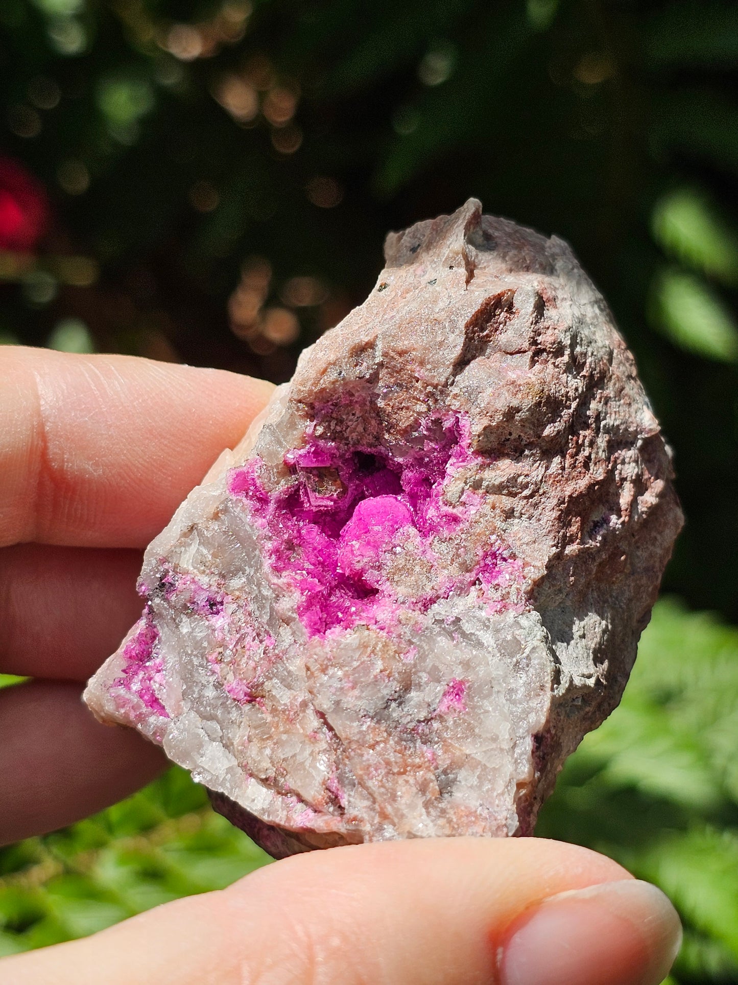 Cobaltocalcite C8