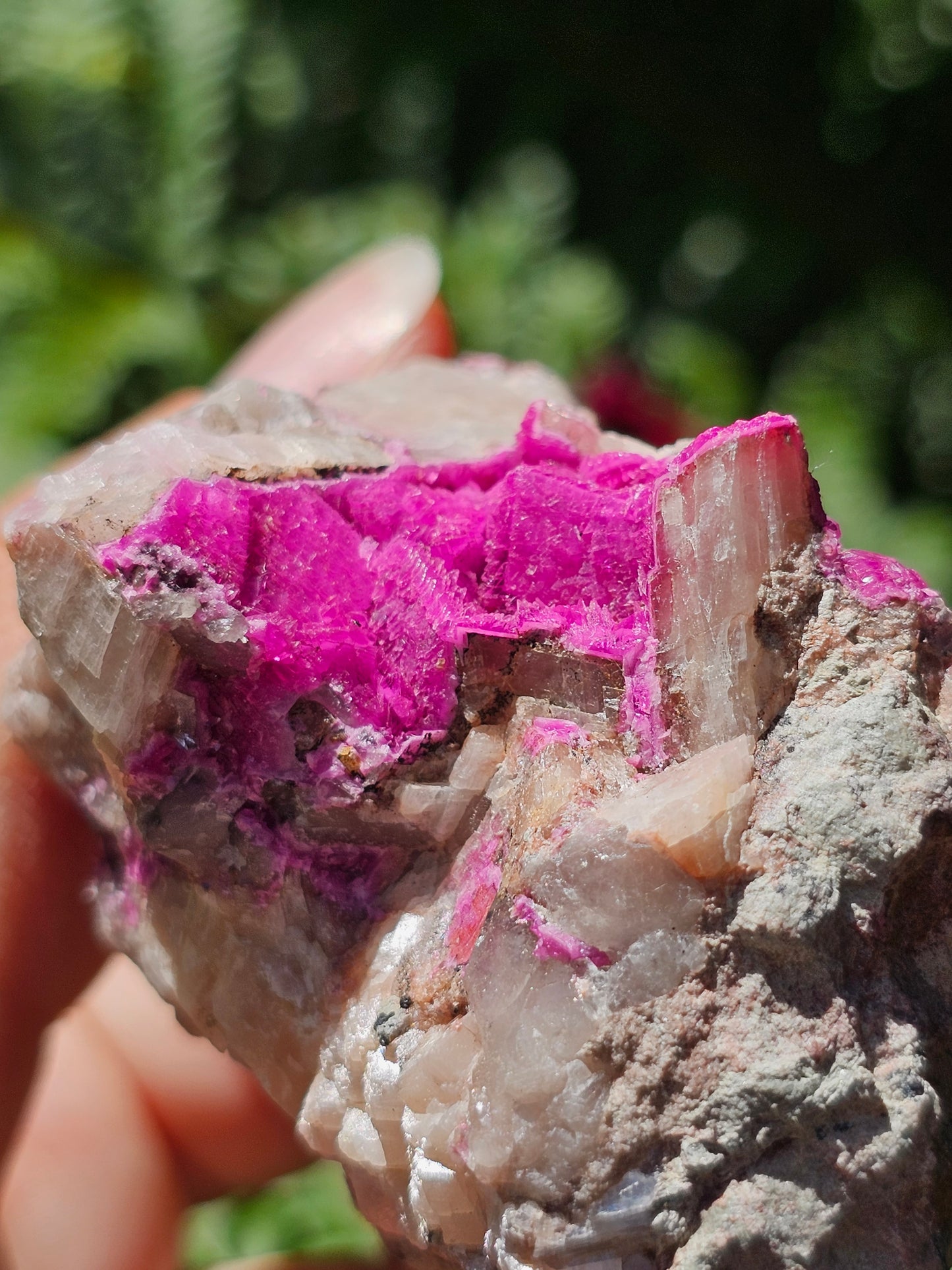Cobaltocalcite C8