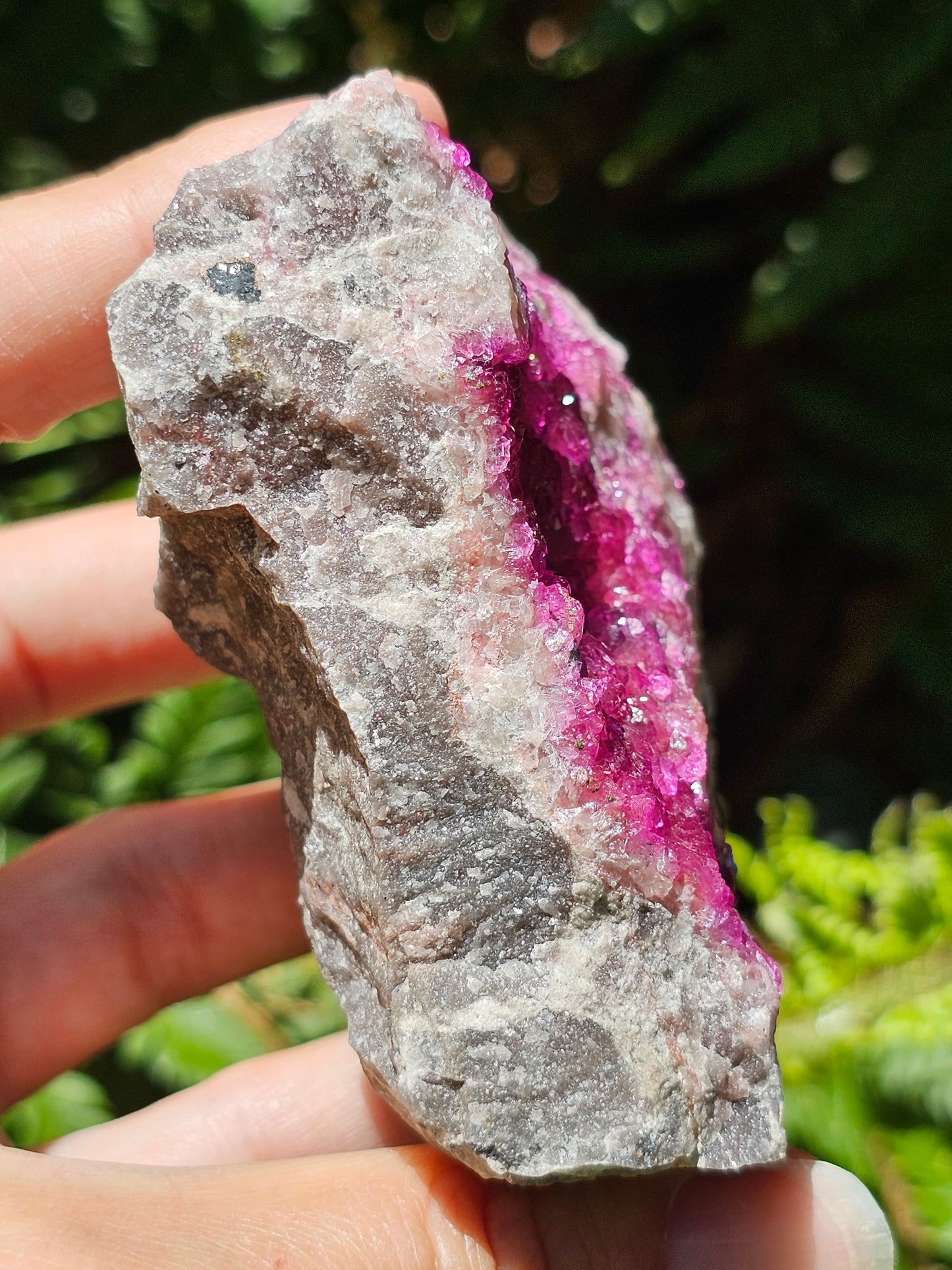 Cobaltocalcite C7