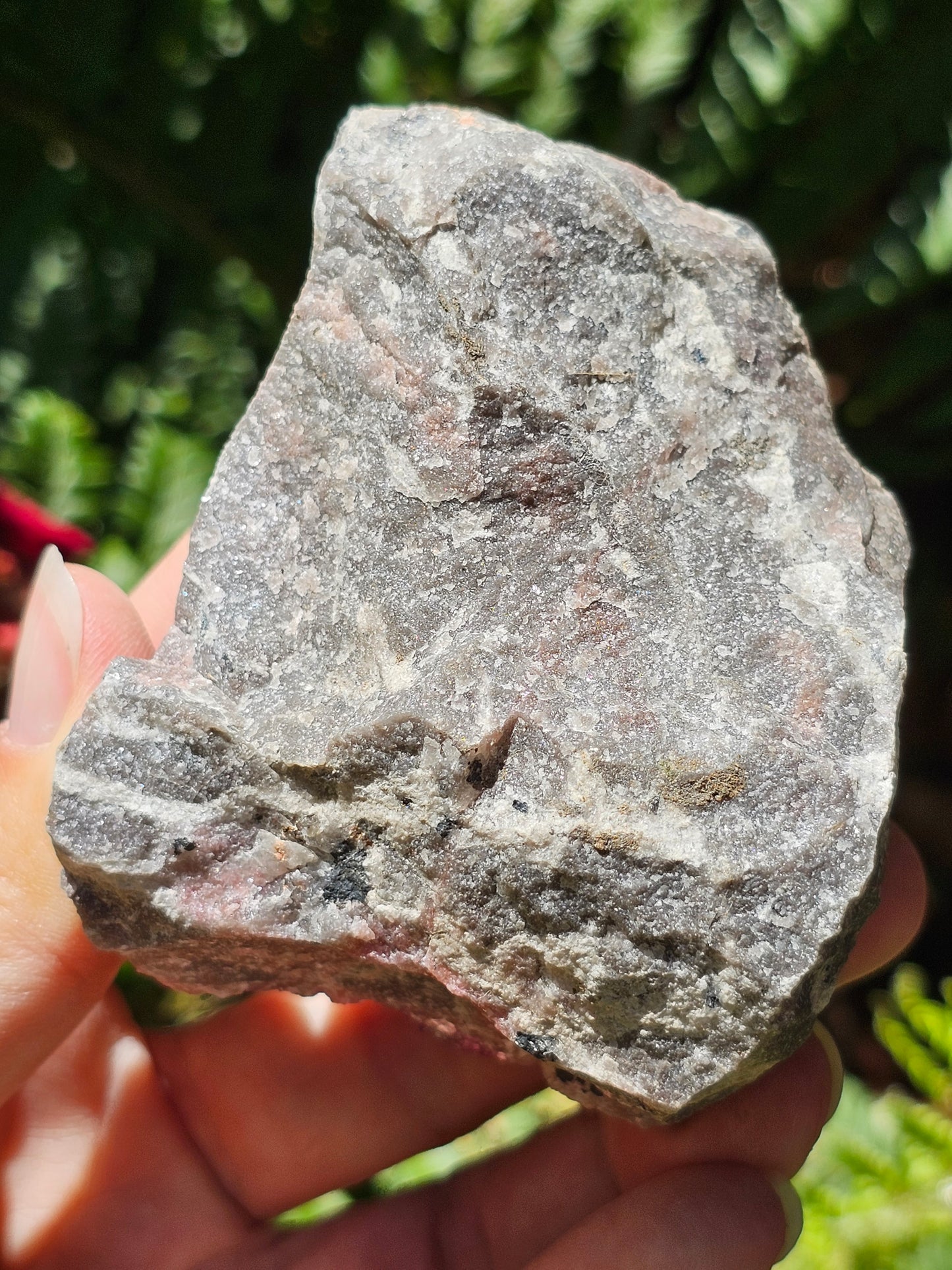 Cobaltocalcite C7