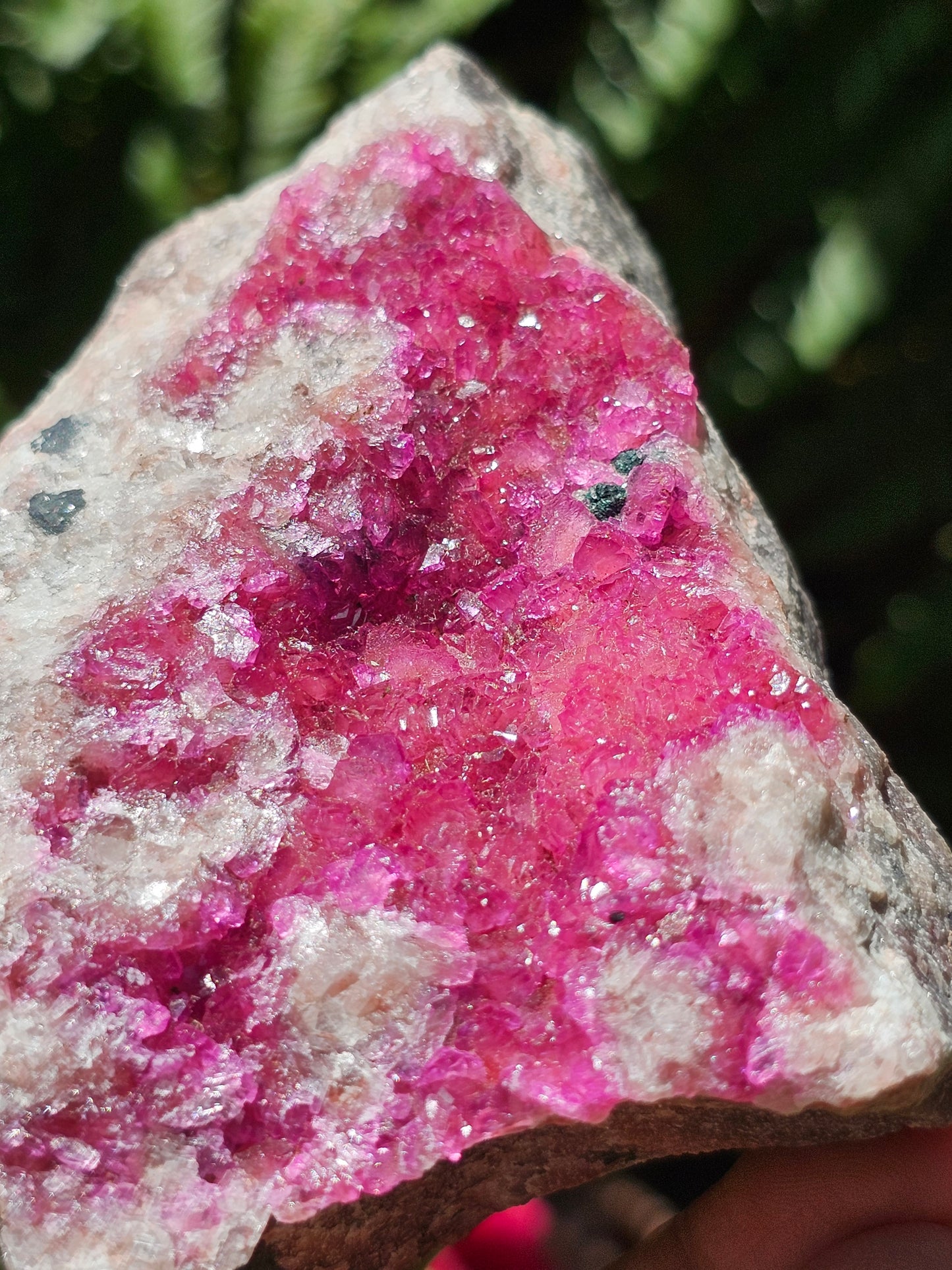 Cobaltocalcite C7