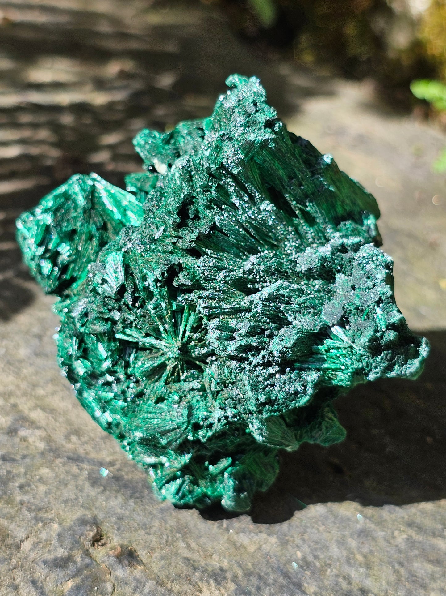 Malachite fibreuse MF10