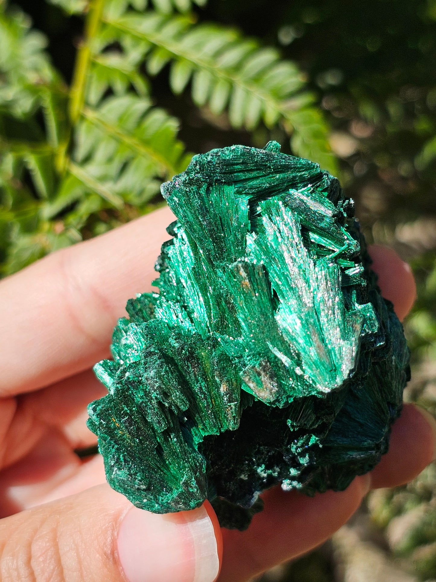 Malachite fibreuse MF10