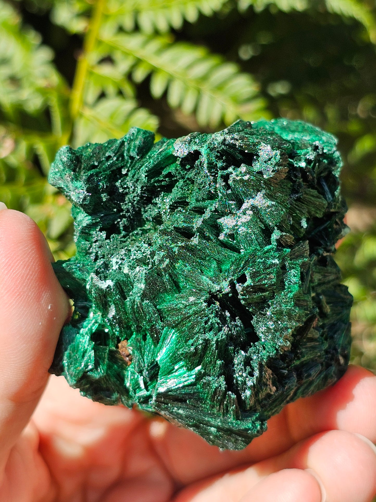 Malachite fibreuse MF10