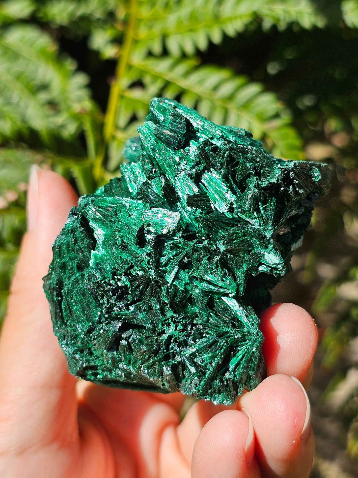 Malachite fibreuse MF10