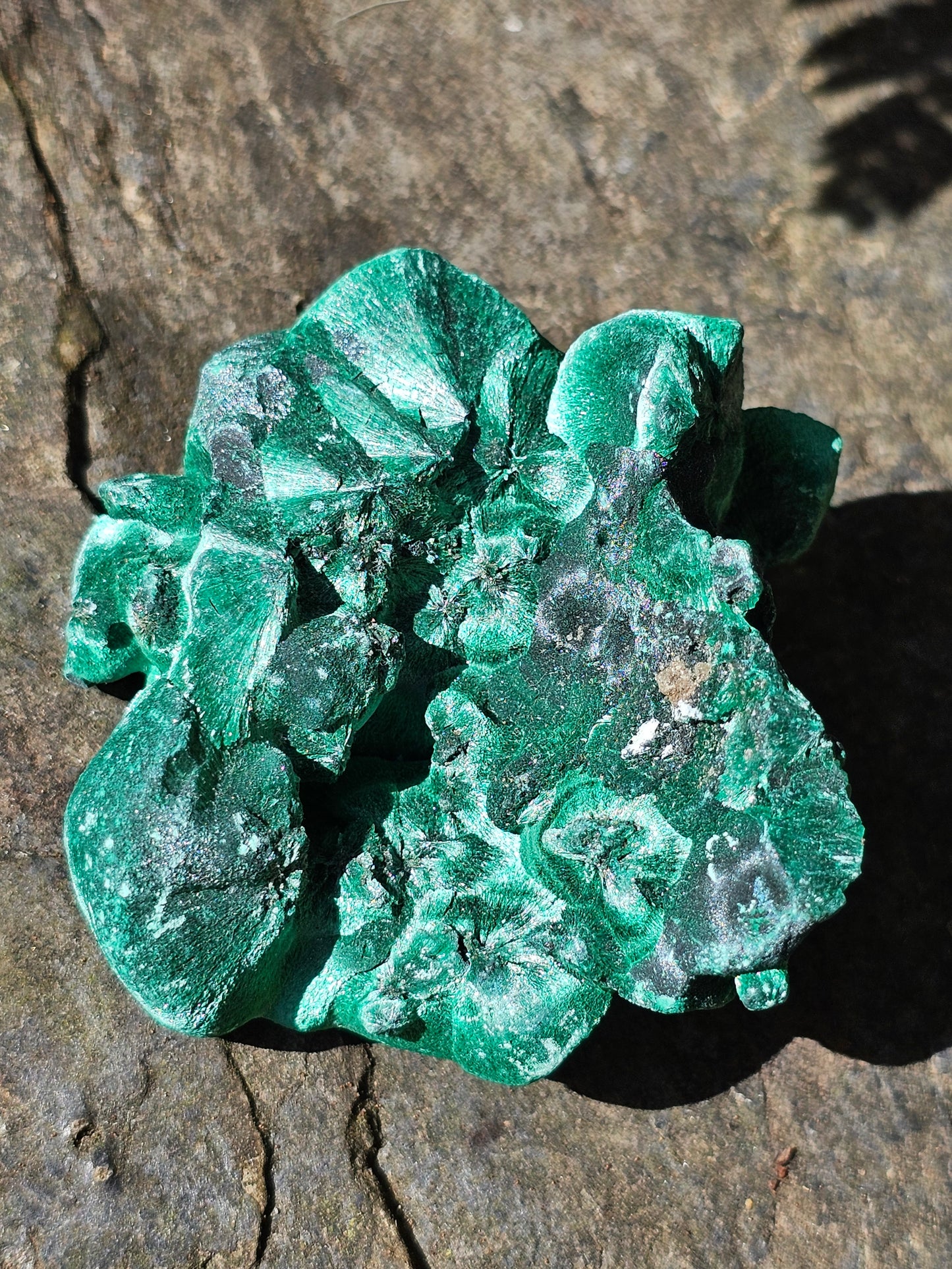 Malachite Velvet M2