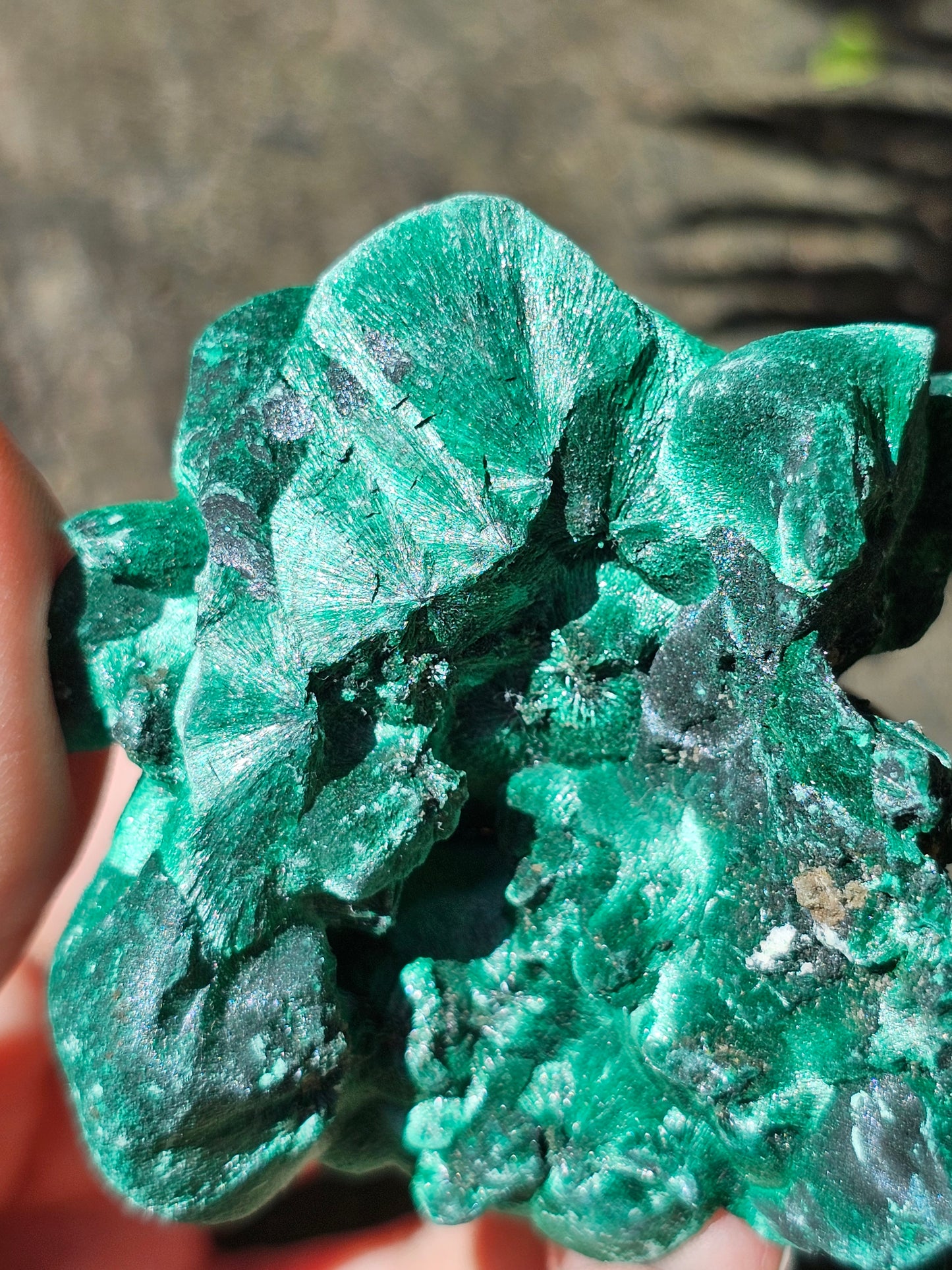 Malachite Velvet M2