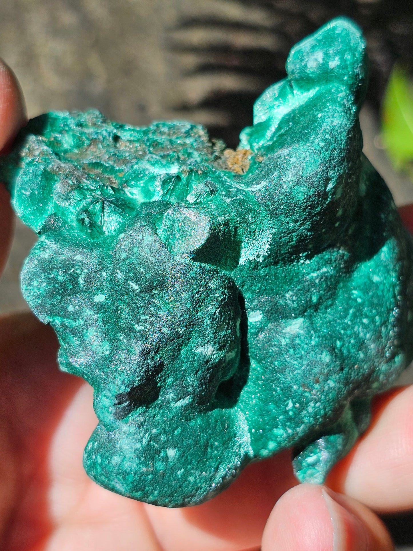 Malachite Velvet M2