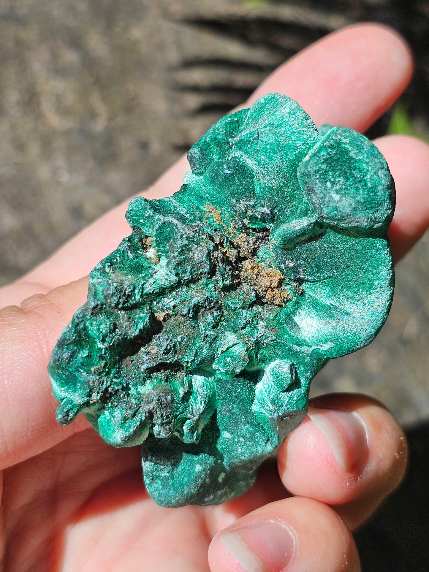 Malachite Velvet M2