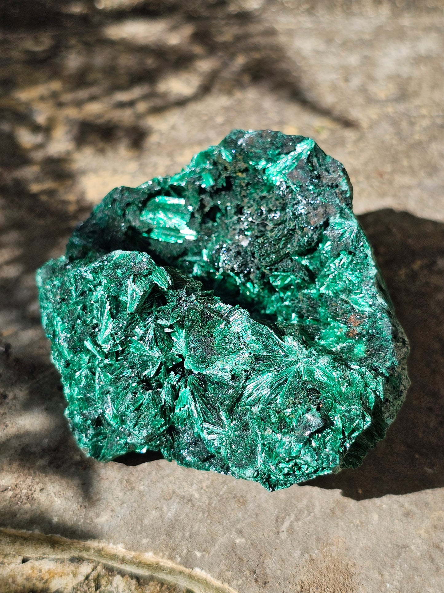 Malachite fibreuse MF11