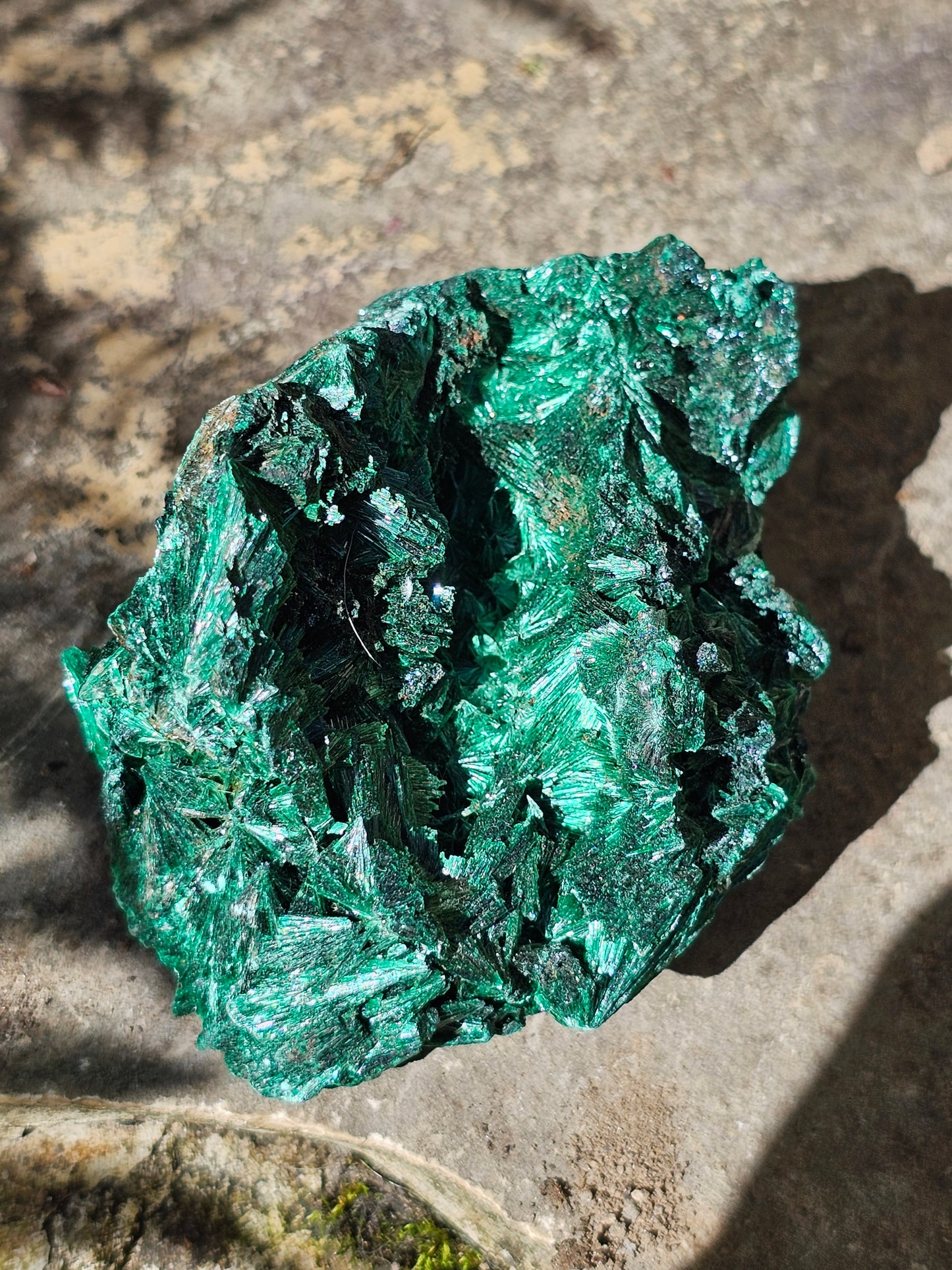Malachite fibreuse MF11