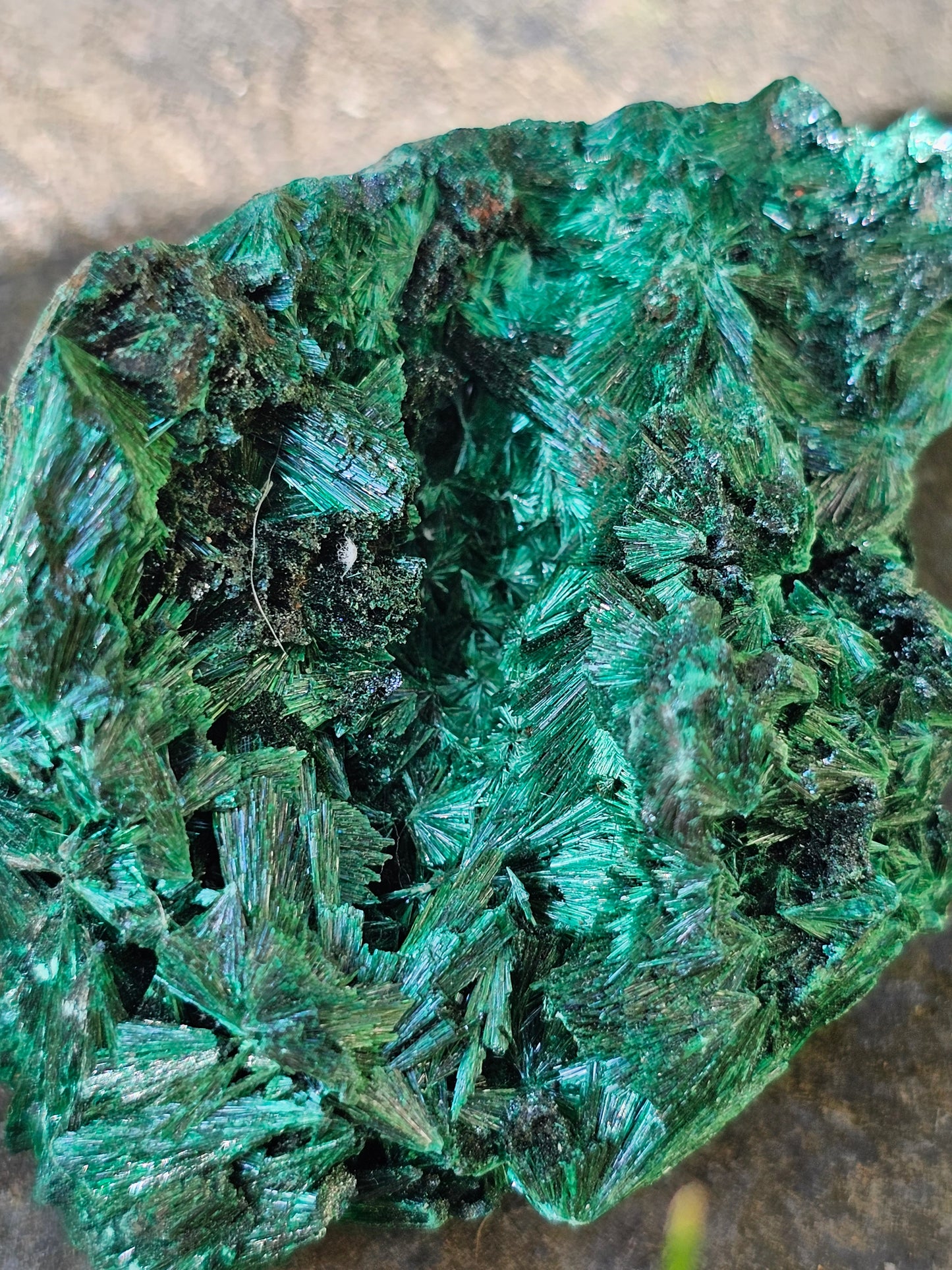 Malachite fibreuse MF11