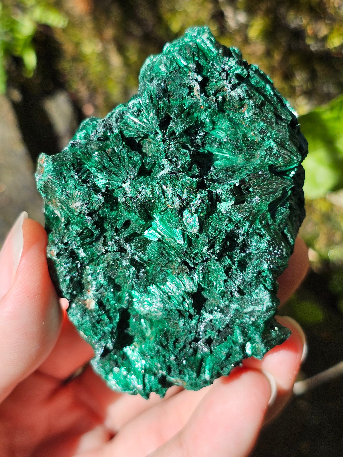 Malachite fibreuse MF11