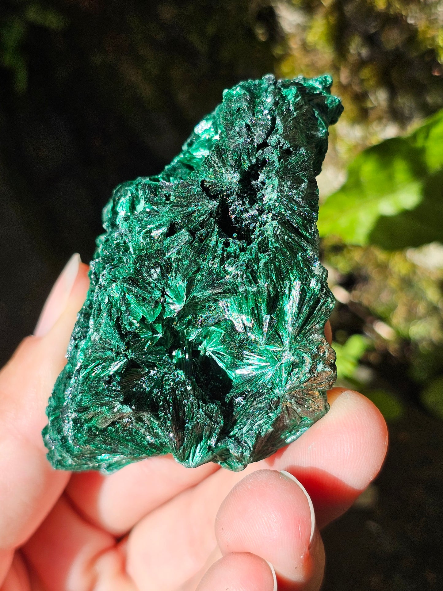 Malachite fibreuse MF11