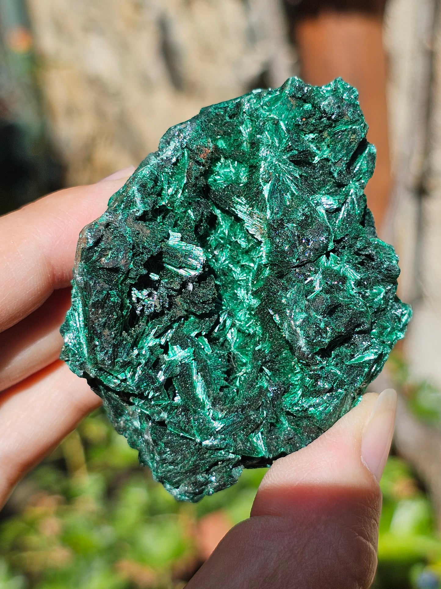 Malachite fibreuse MF11