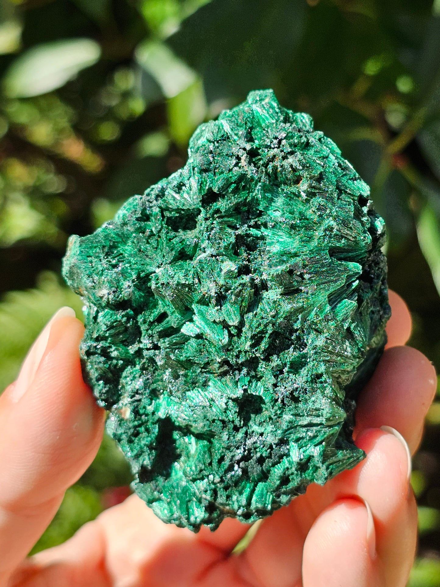 Malachite fibreuse MF11