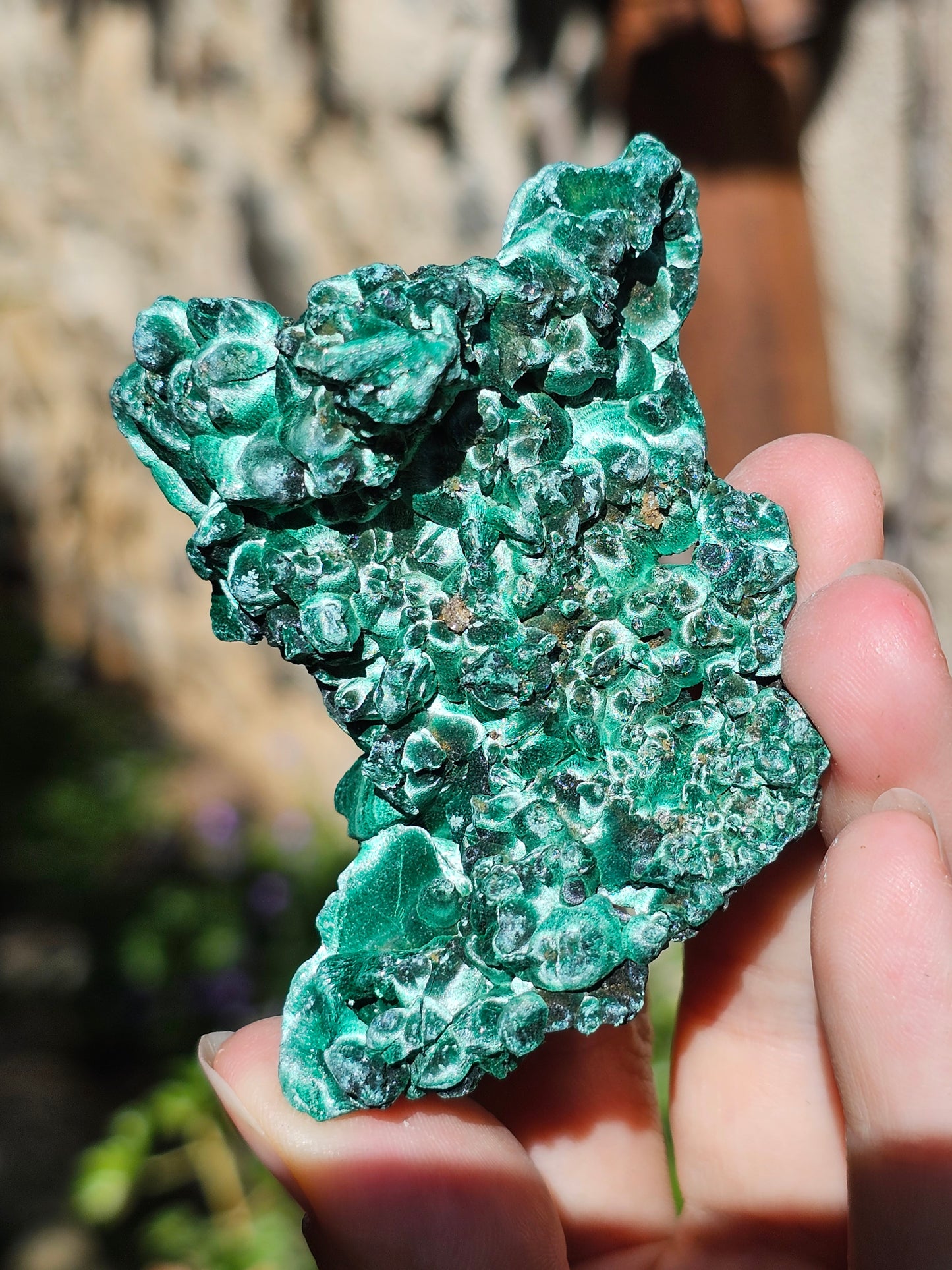Malachite Velvet M1