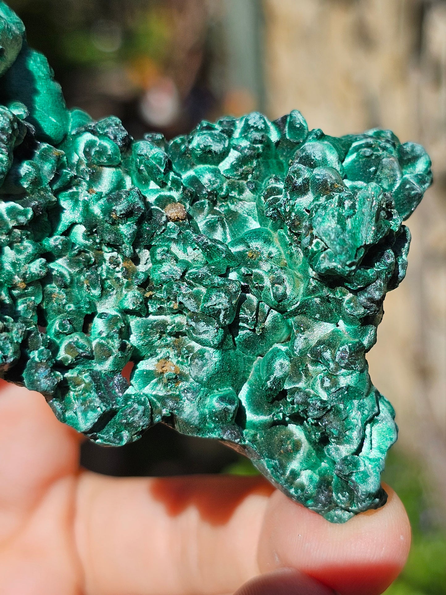 Malachite Velvet M1