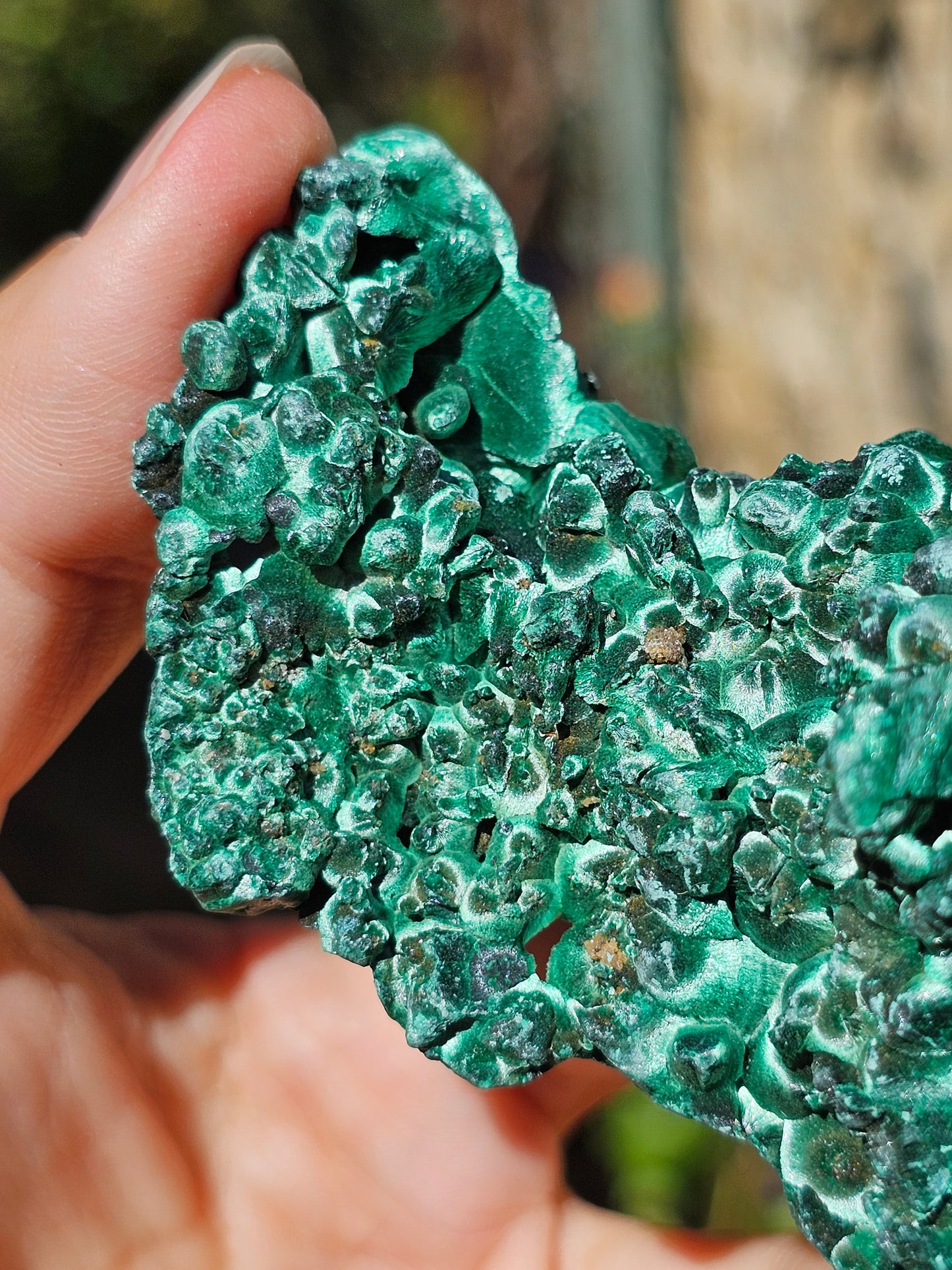 Malachite Velvet M1